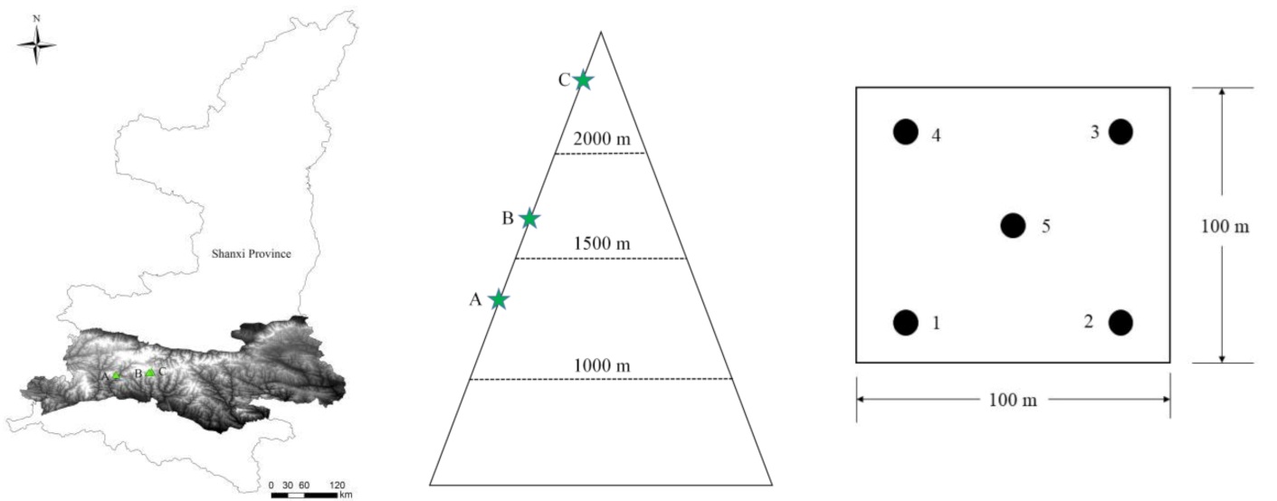 Microorganisms 10 00766 g001 550