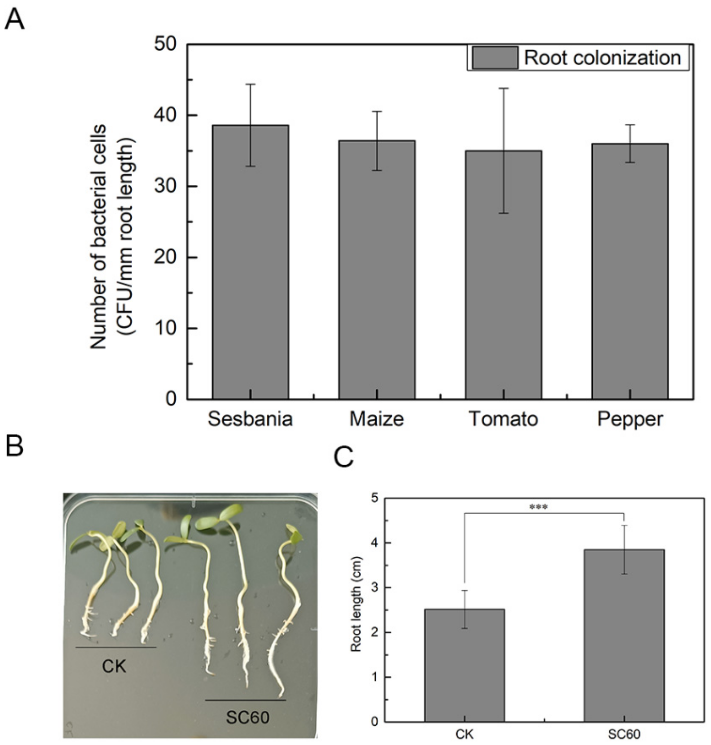 Microorganisms 10 00767 g003 550