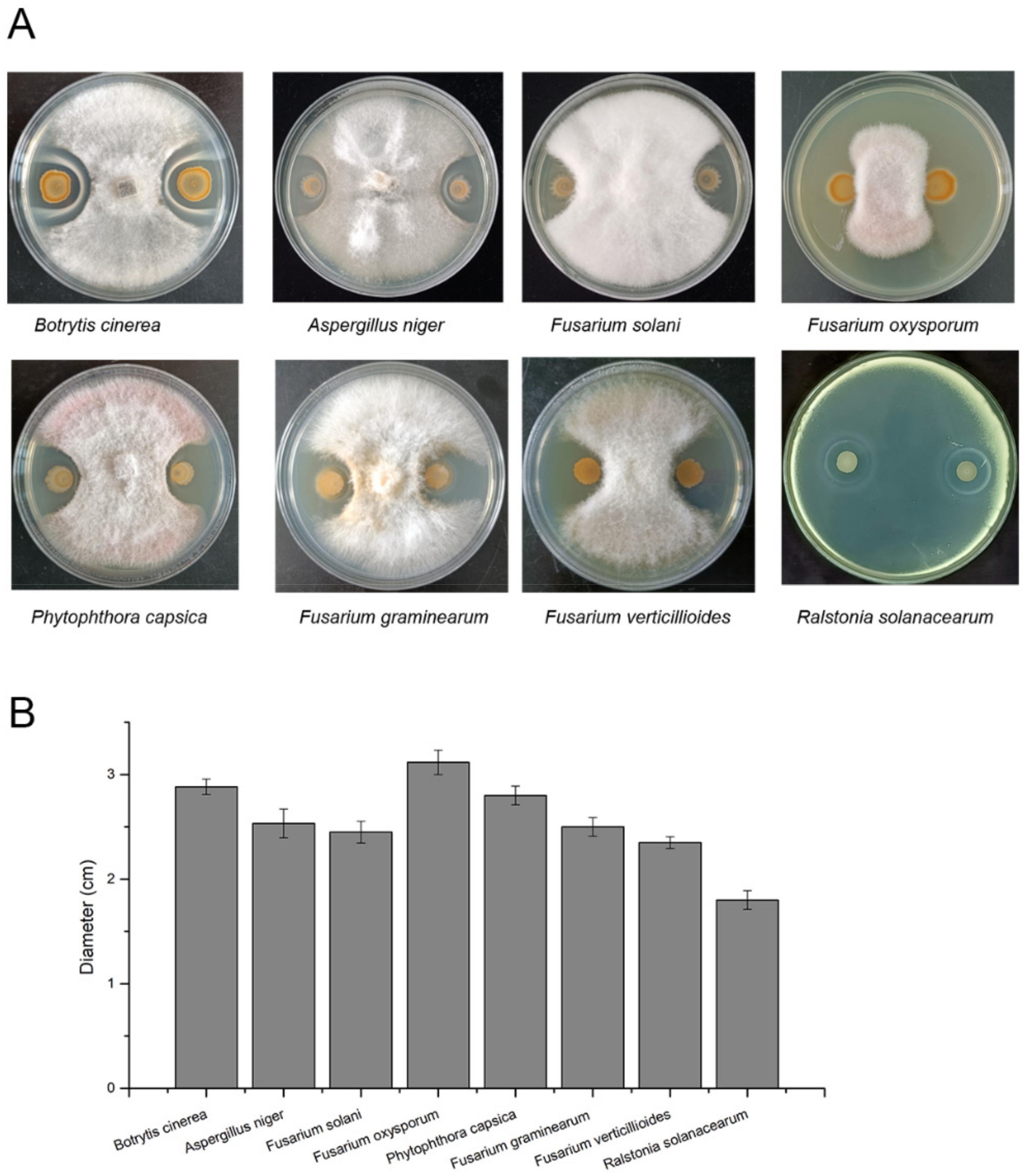 Microorganisms 10 00767 g005 550