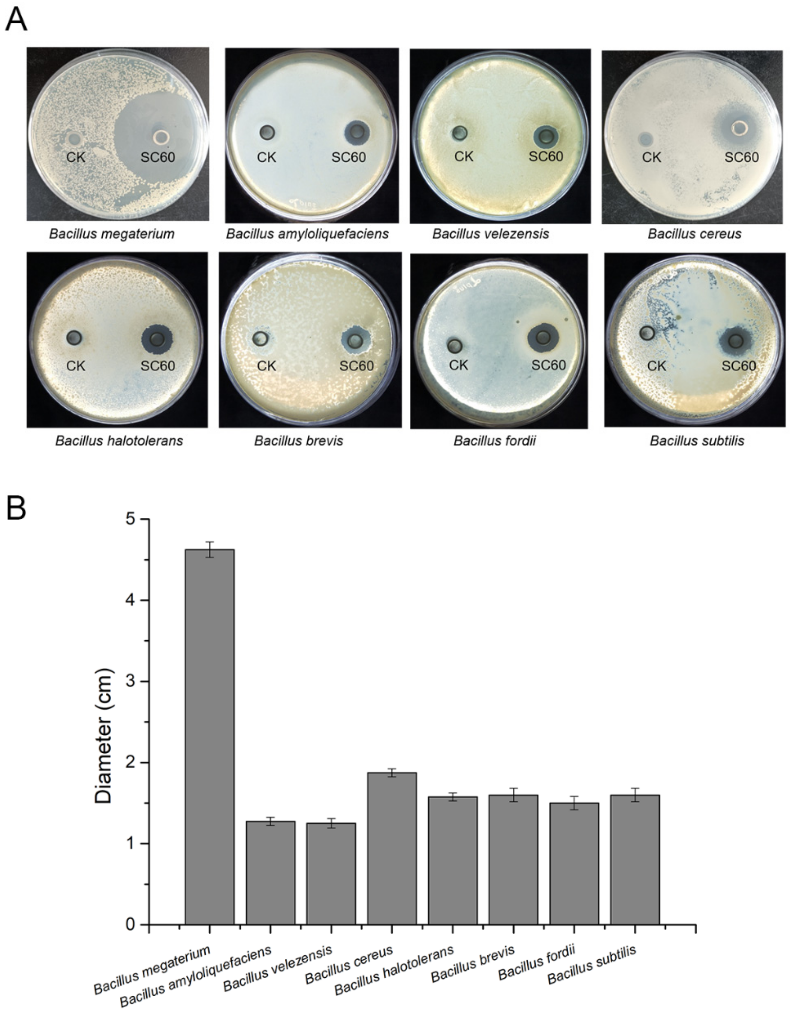Microorganisms 10 00767 g006 550