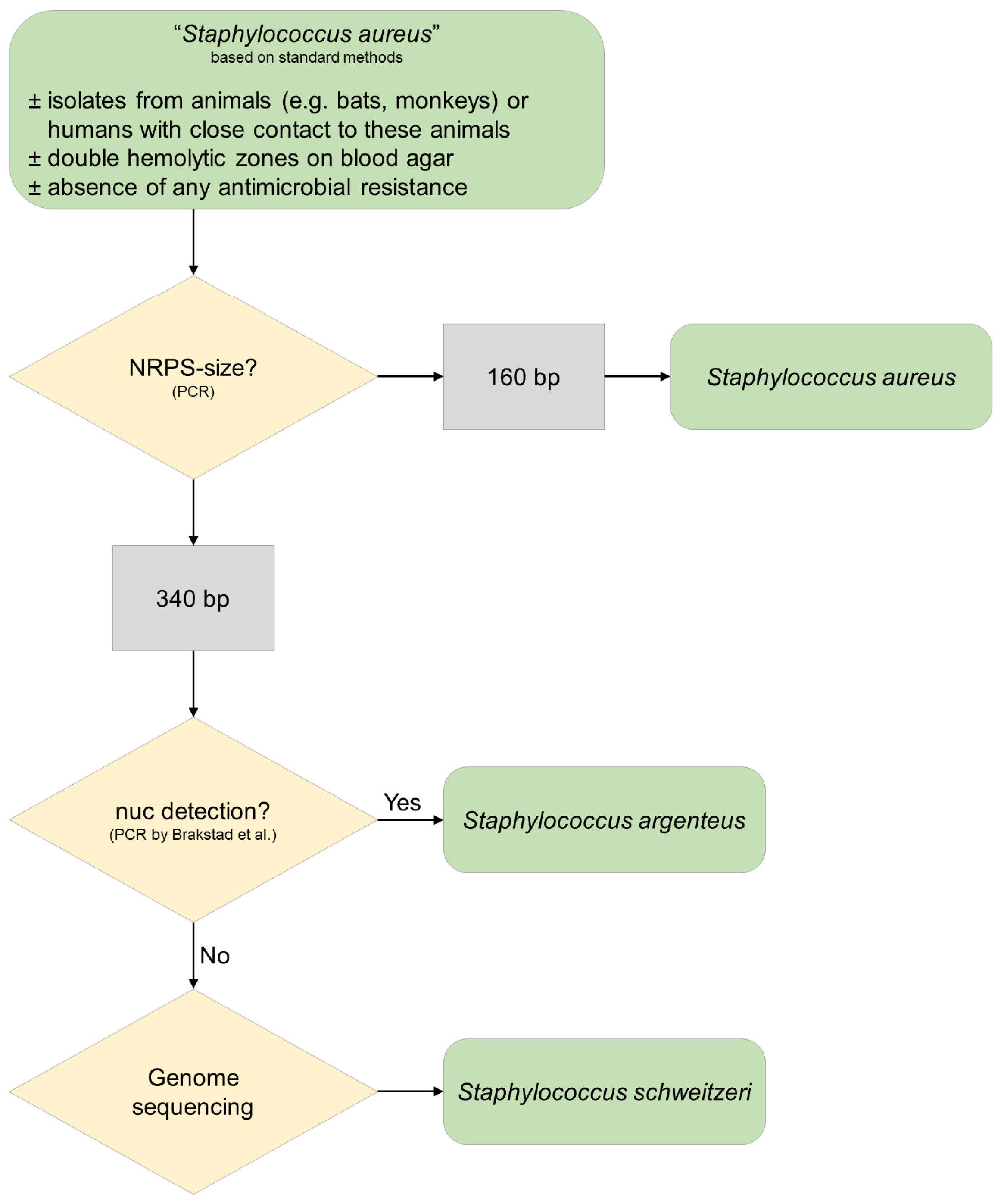 Microorganisms | Free Full-Text | Staphylococcus schweitzeri—An Emerging One Health Pathogen? Microorganisms | Free Full-Text | Staphylococcus schweitzeri—An Emerging One Health Pathogen?
