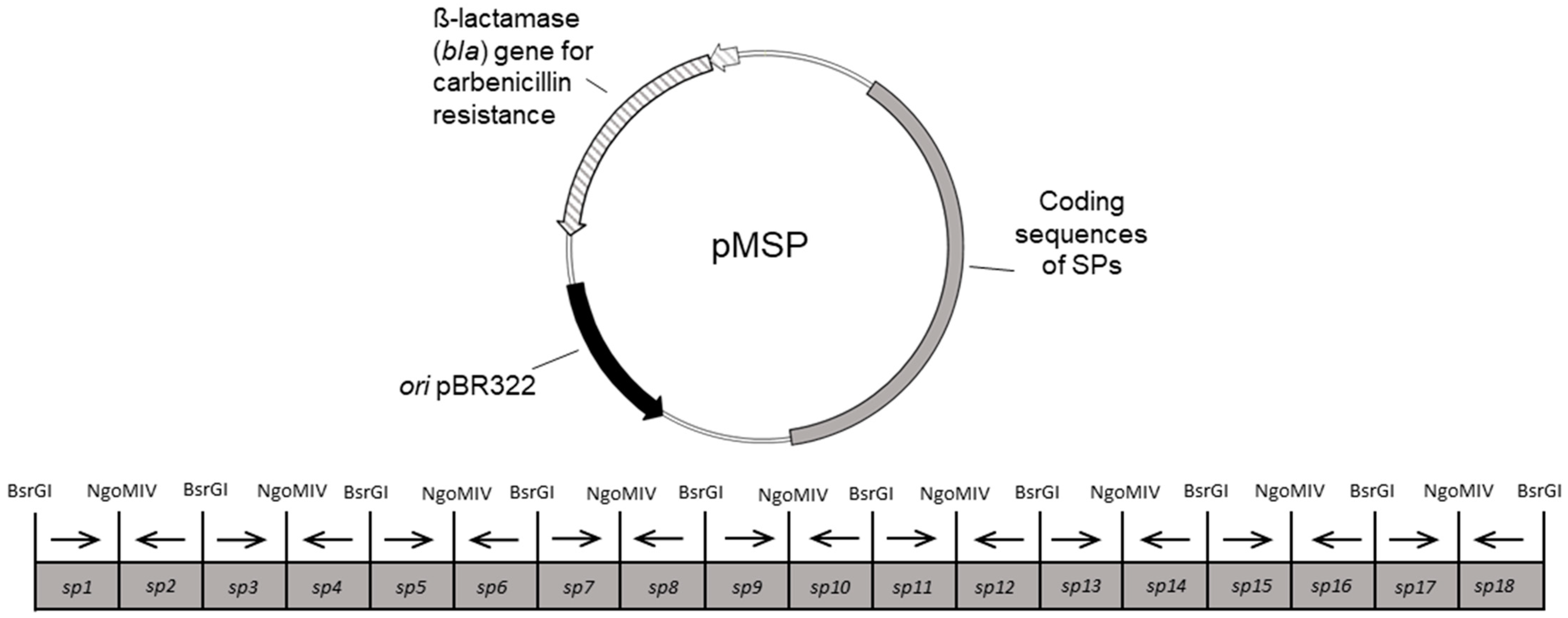 Microorganisms 10 00777 g002