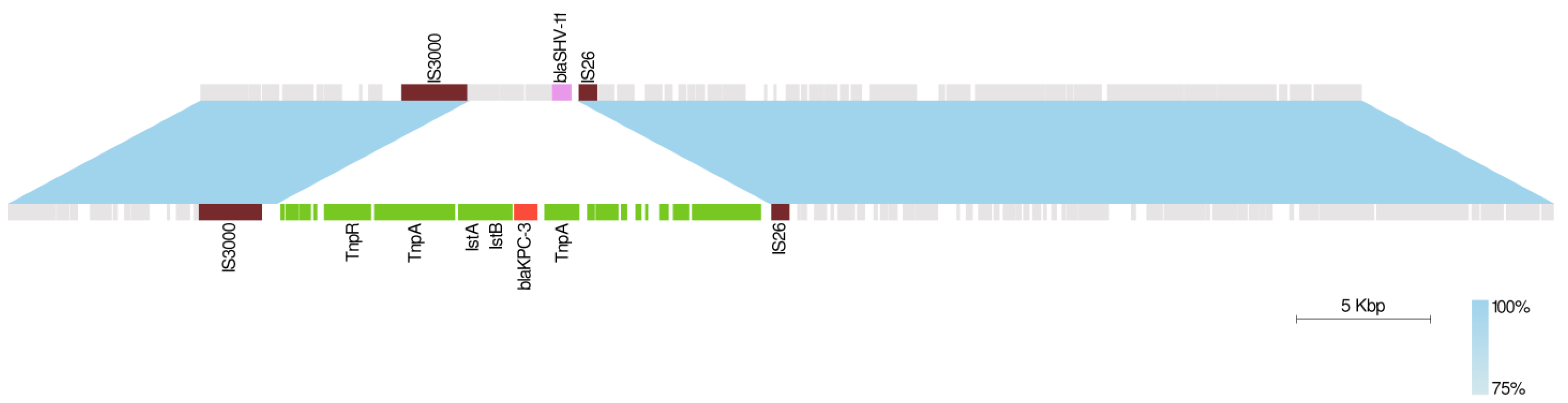 Microorganisms 10 00778 g001 550