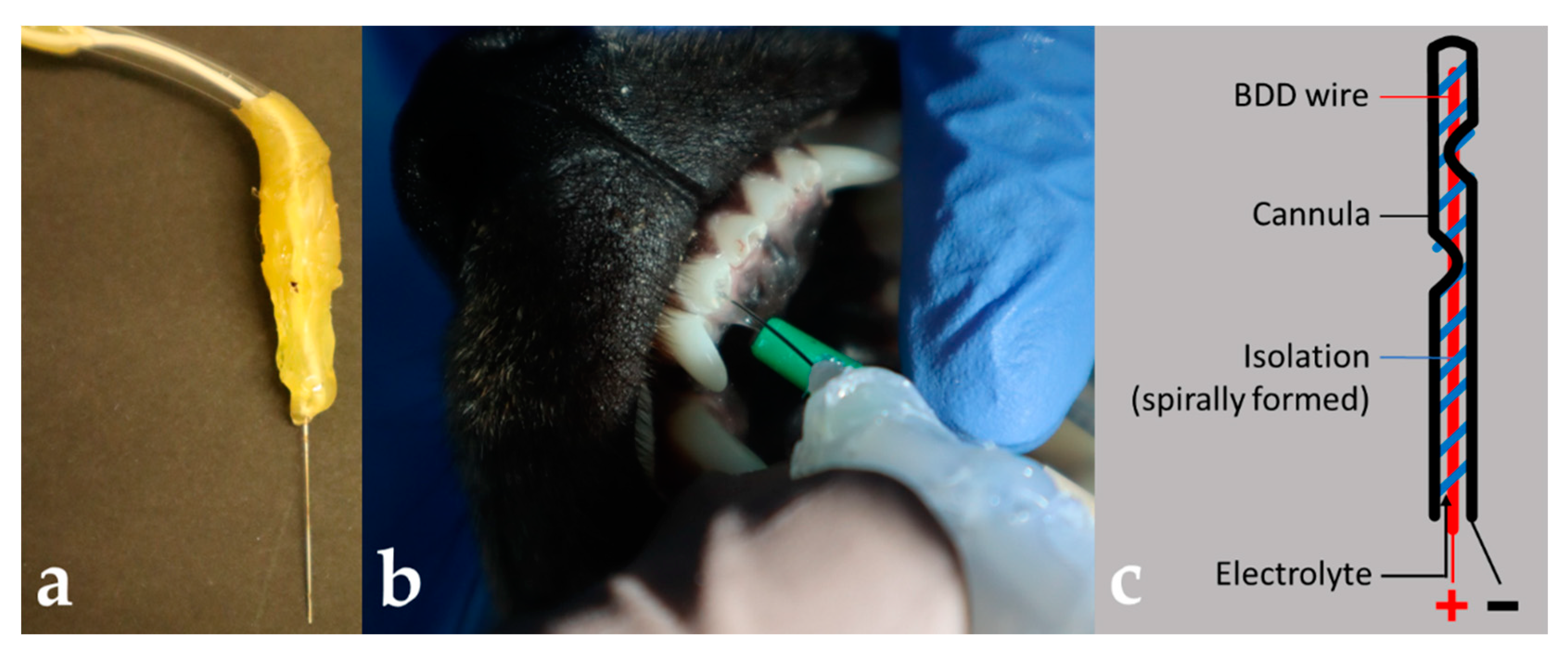 Microorganisms 10 00782 g002 Microorganisms 10 00782 g002