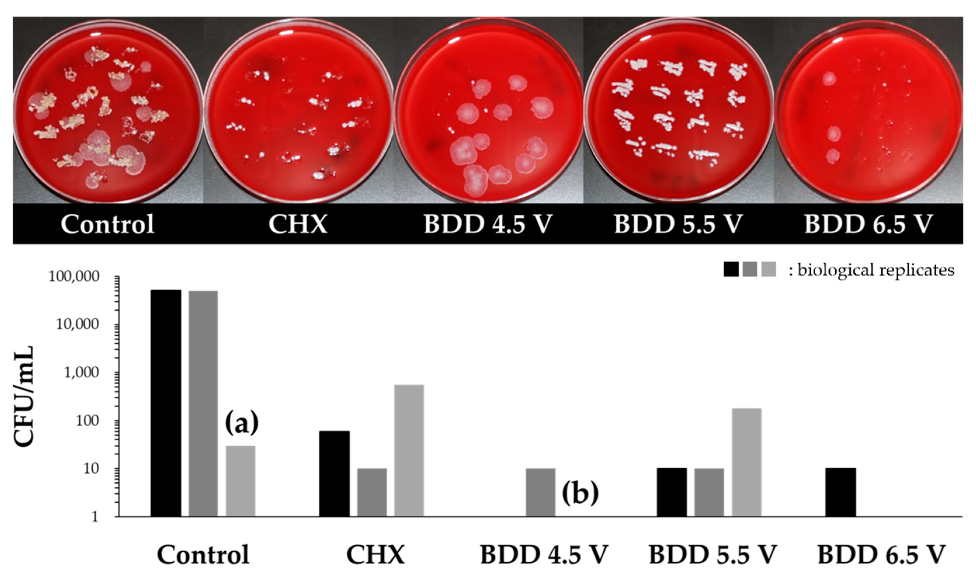 Microorganisms 10 00782 g005 Microorganisms 10 00782 g005