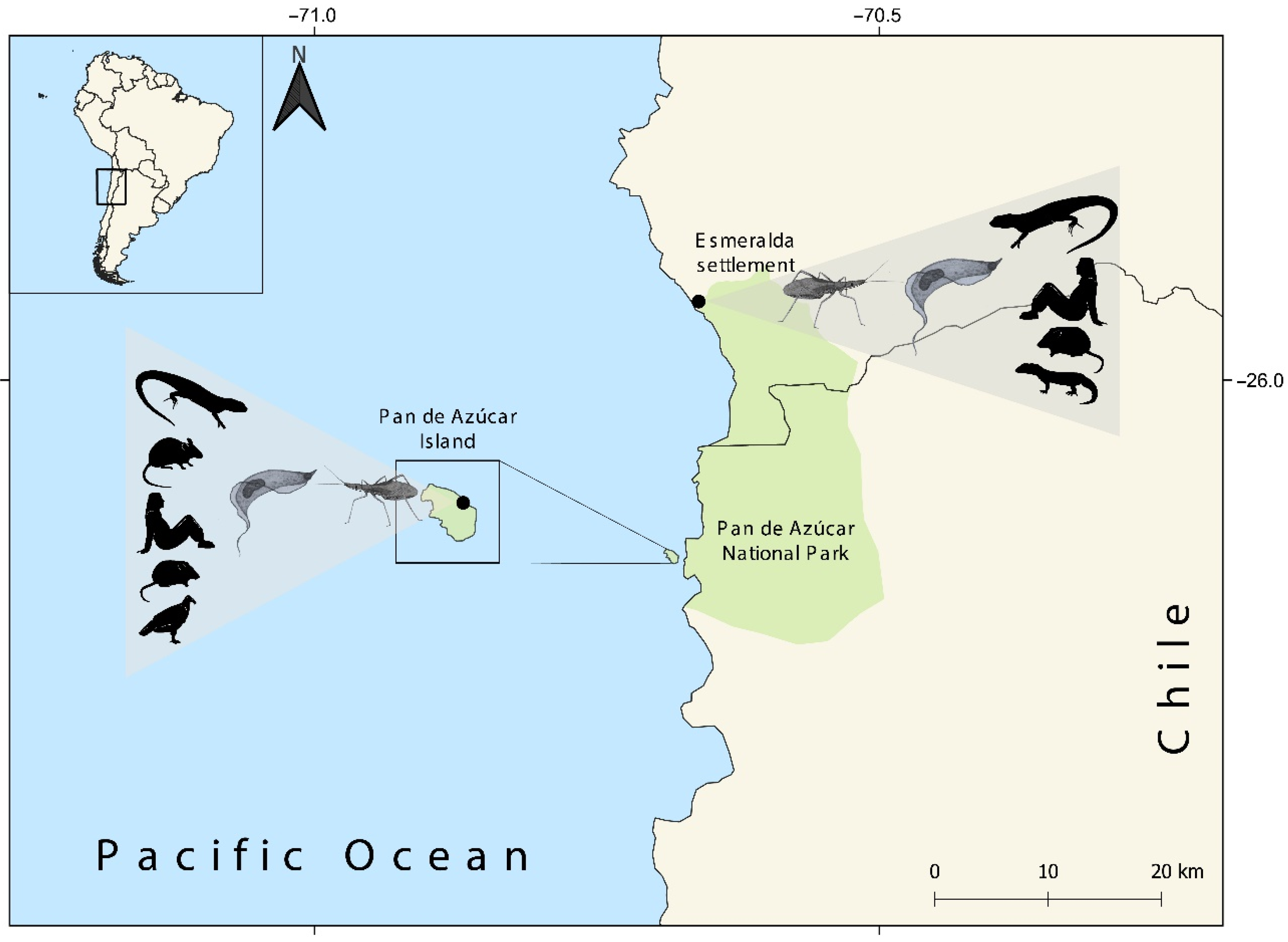 Microorganisms 10 00785 g001 Microorganisms 10 00785 g001