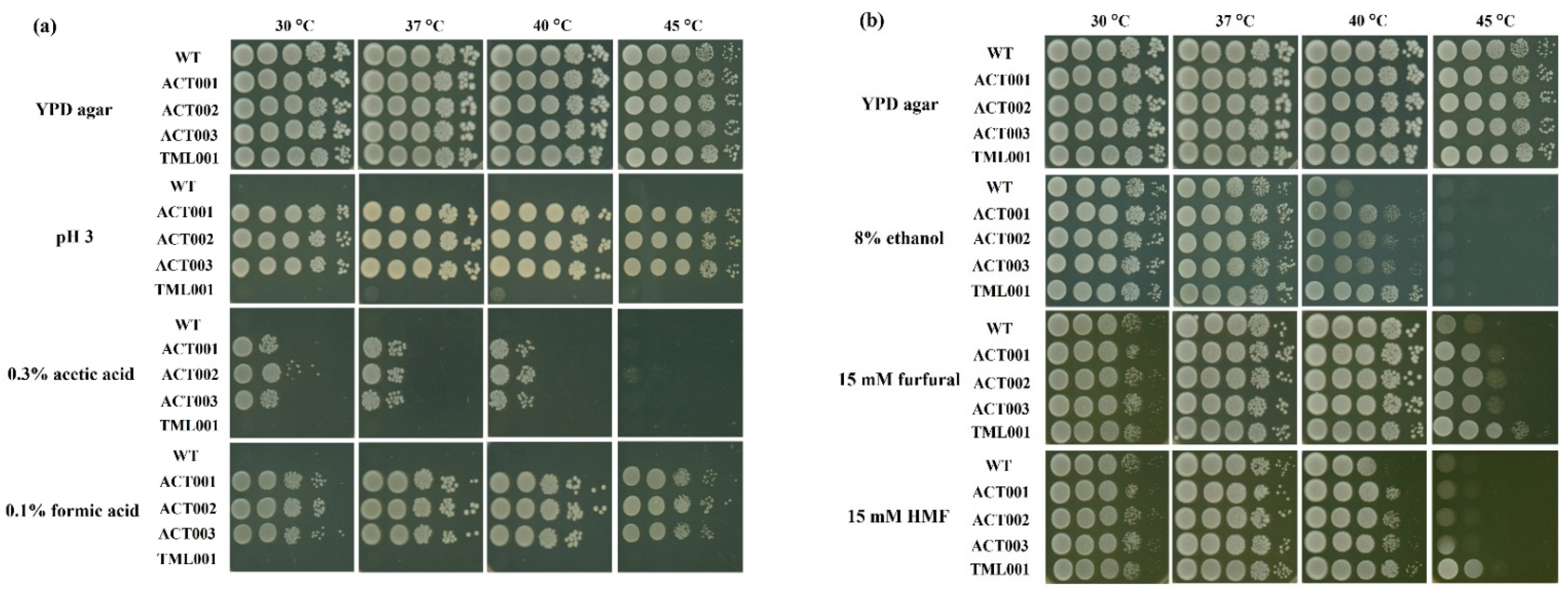 Microorganisms 10 00798 g003a