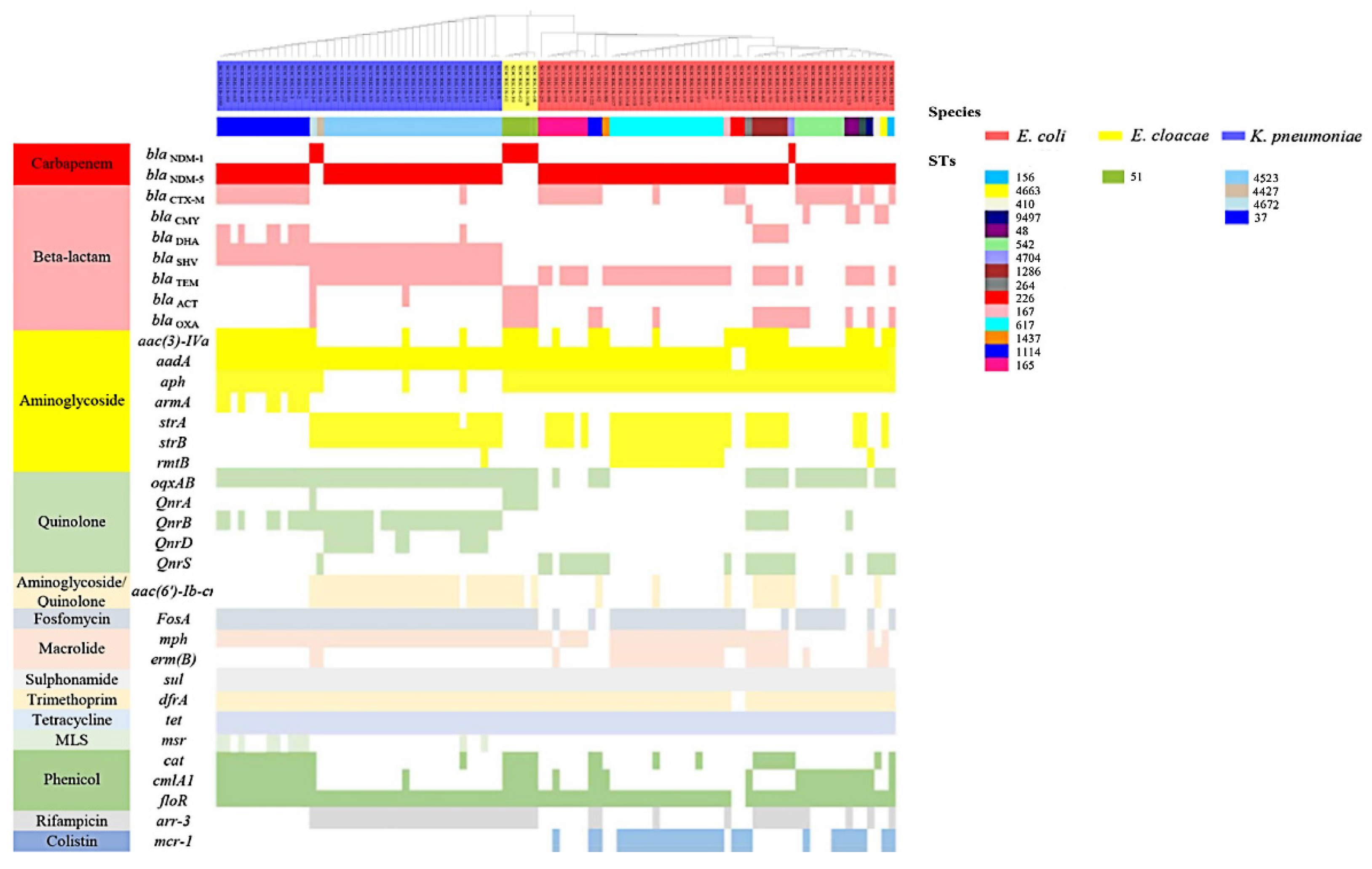 Microorganisms 10 00800 g001