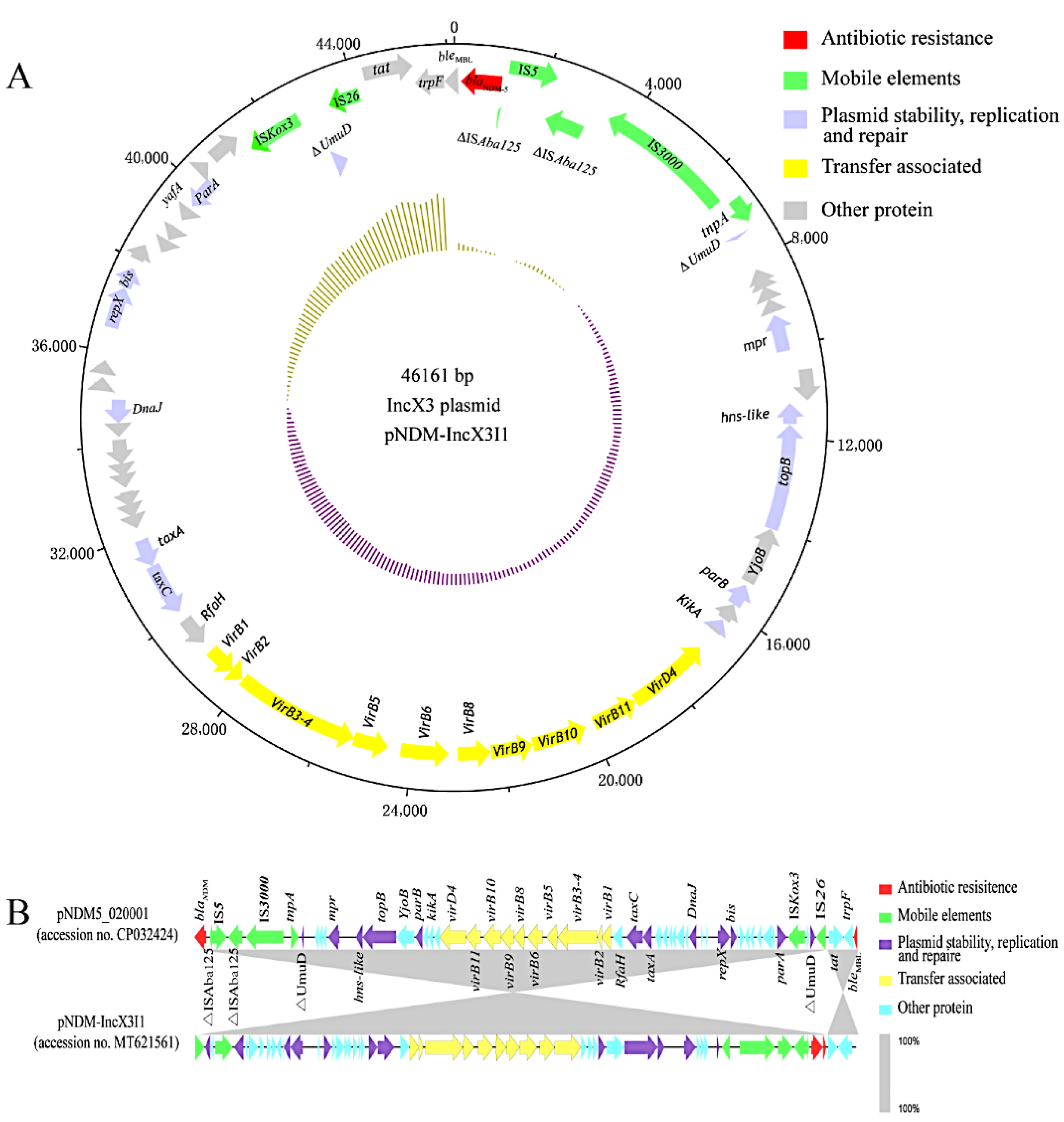Microorganisms 10 00800 g004