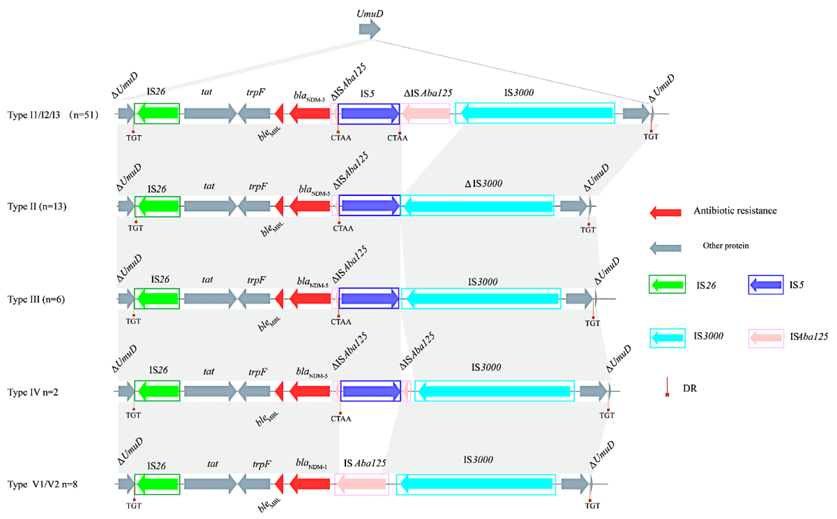 Microorganisms 10 00800 g005