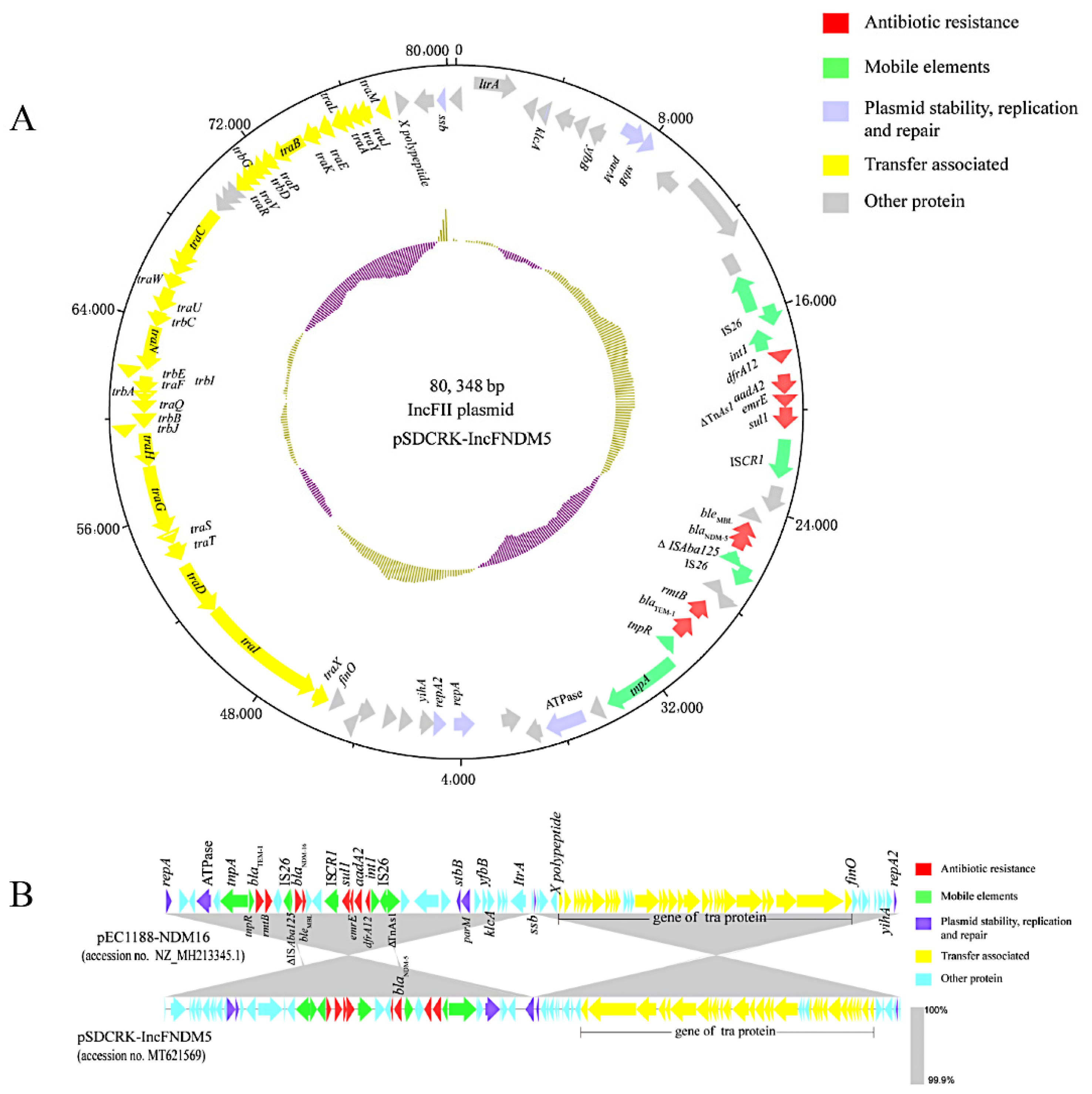 Microorganisms 10 00800 g006