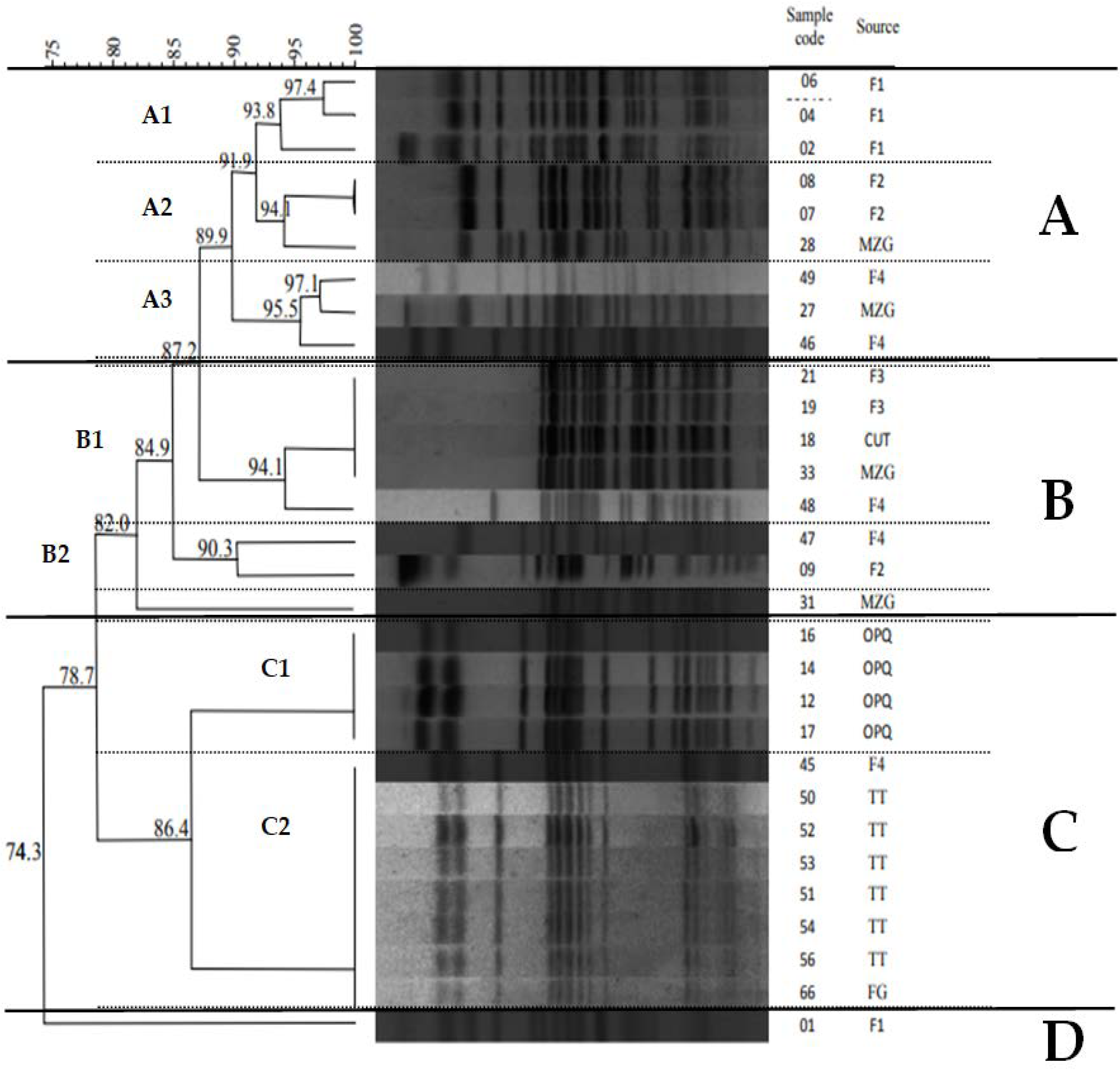 Microorganisms 10 00808 g002