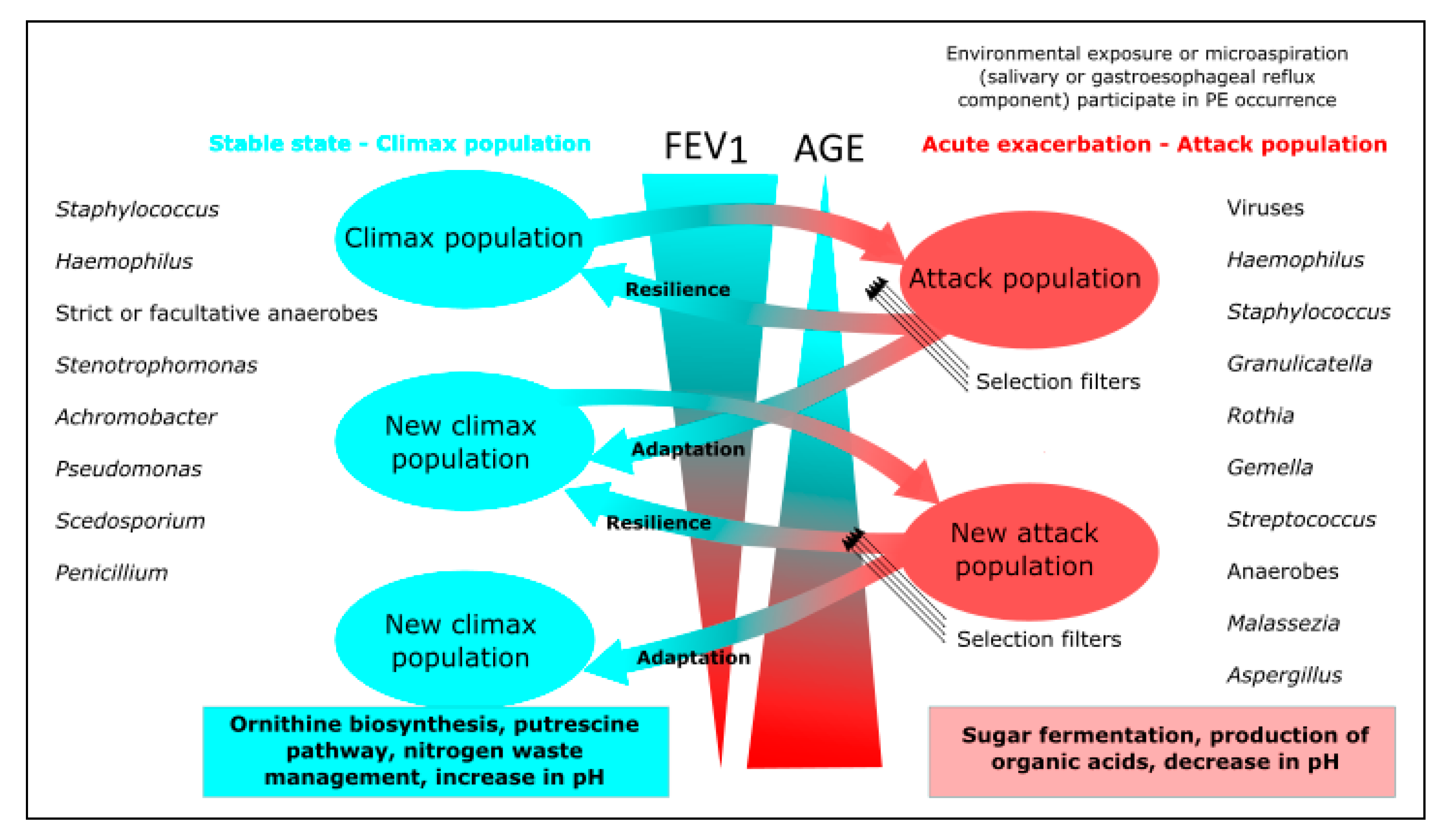 Microorganisms 10 00810 g002 Microorganisms 10 00810 g002