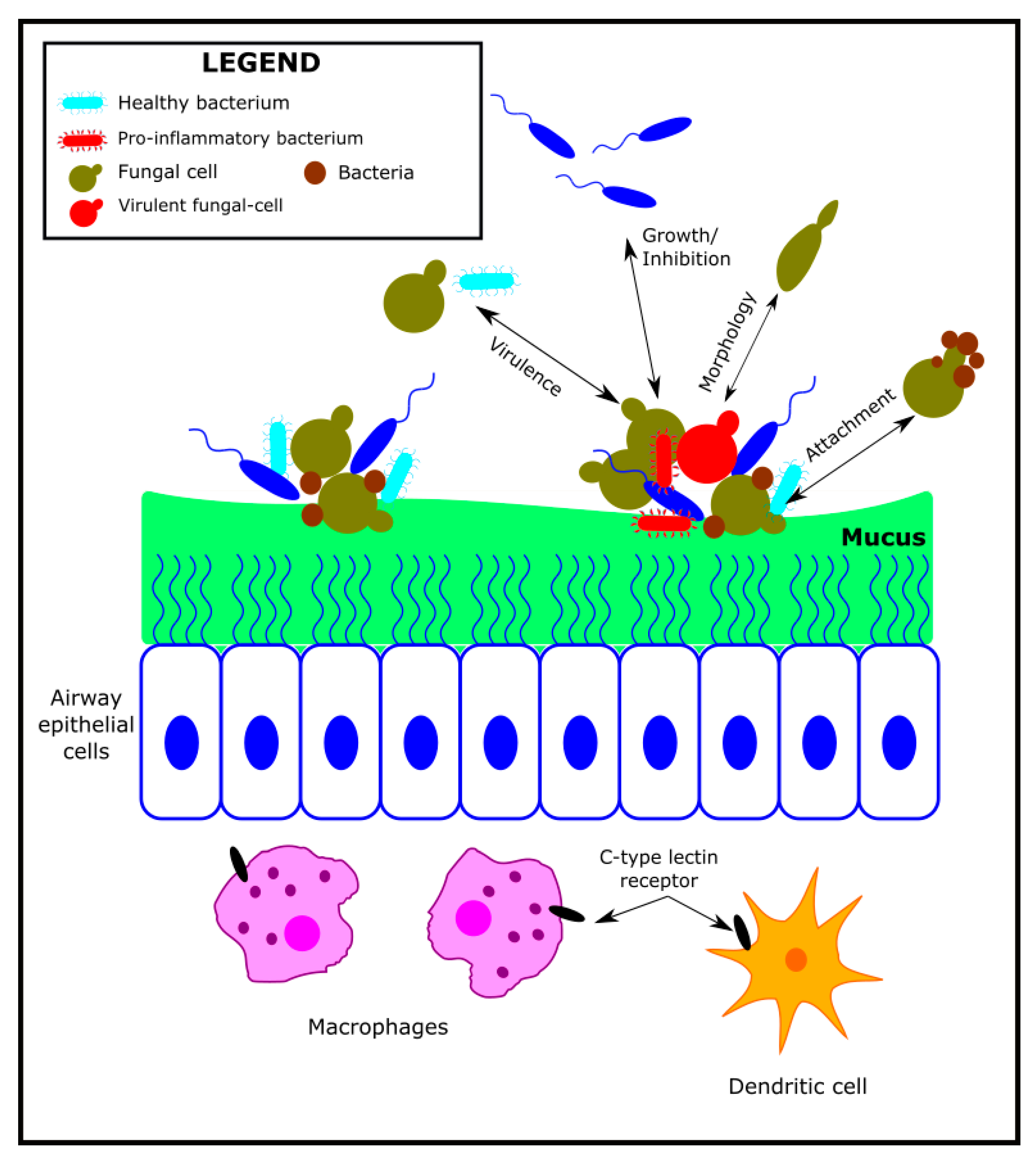 Microorganisms 10 00810 g003 Microorganisms 10 00810 g003