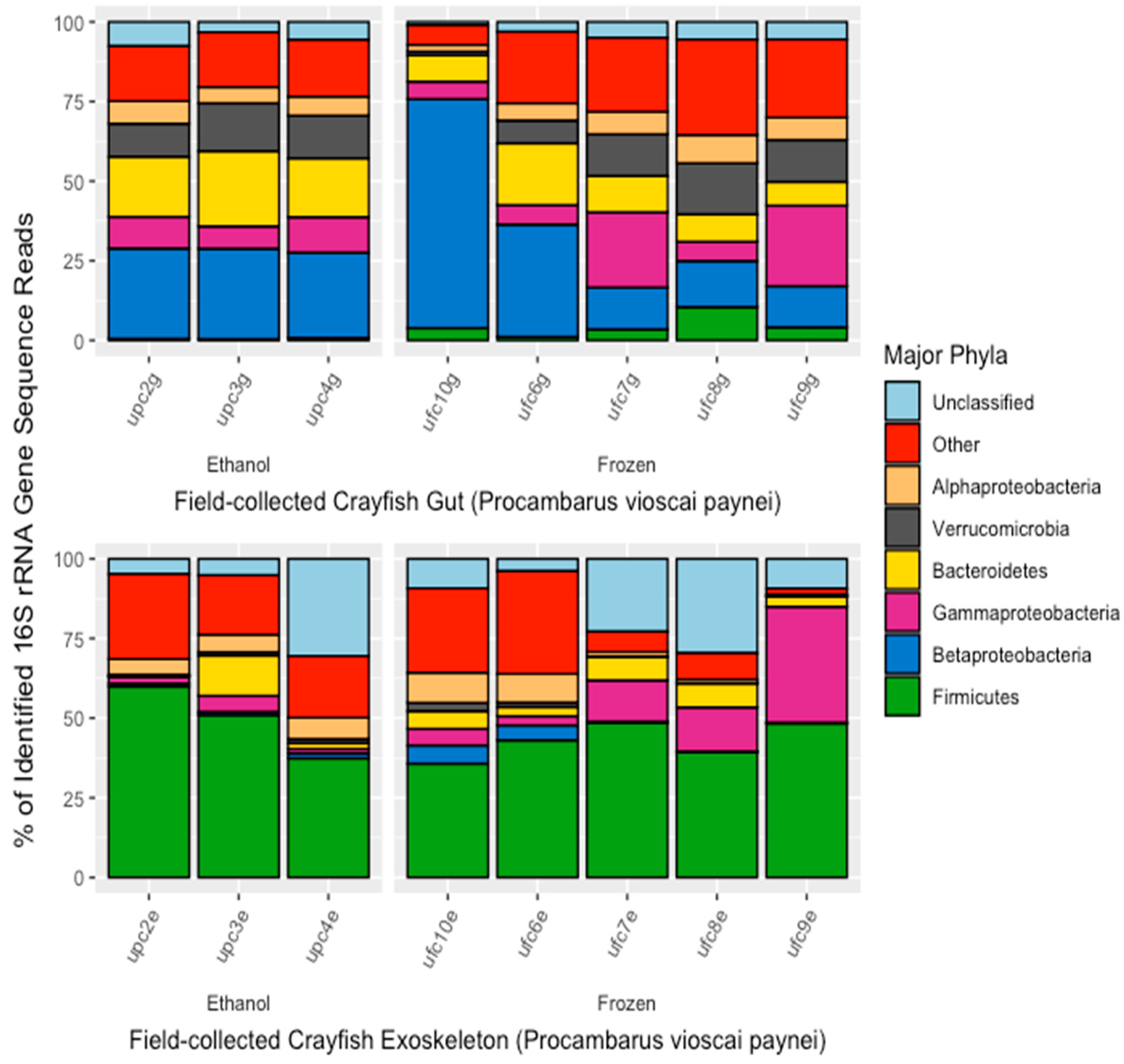 Microorganisms 10 00811 g004