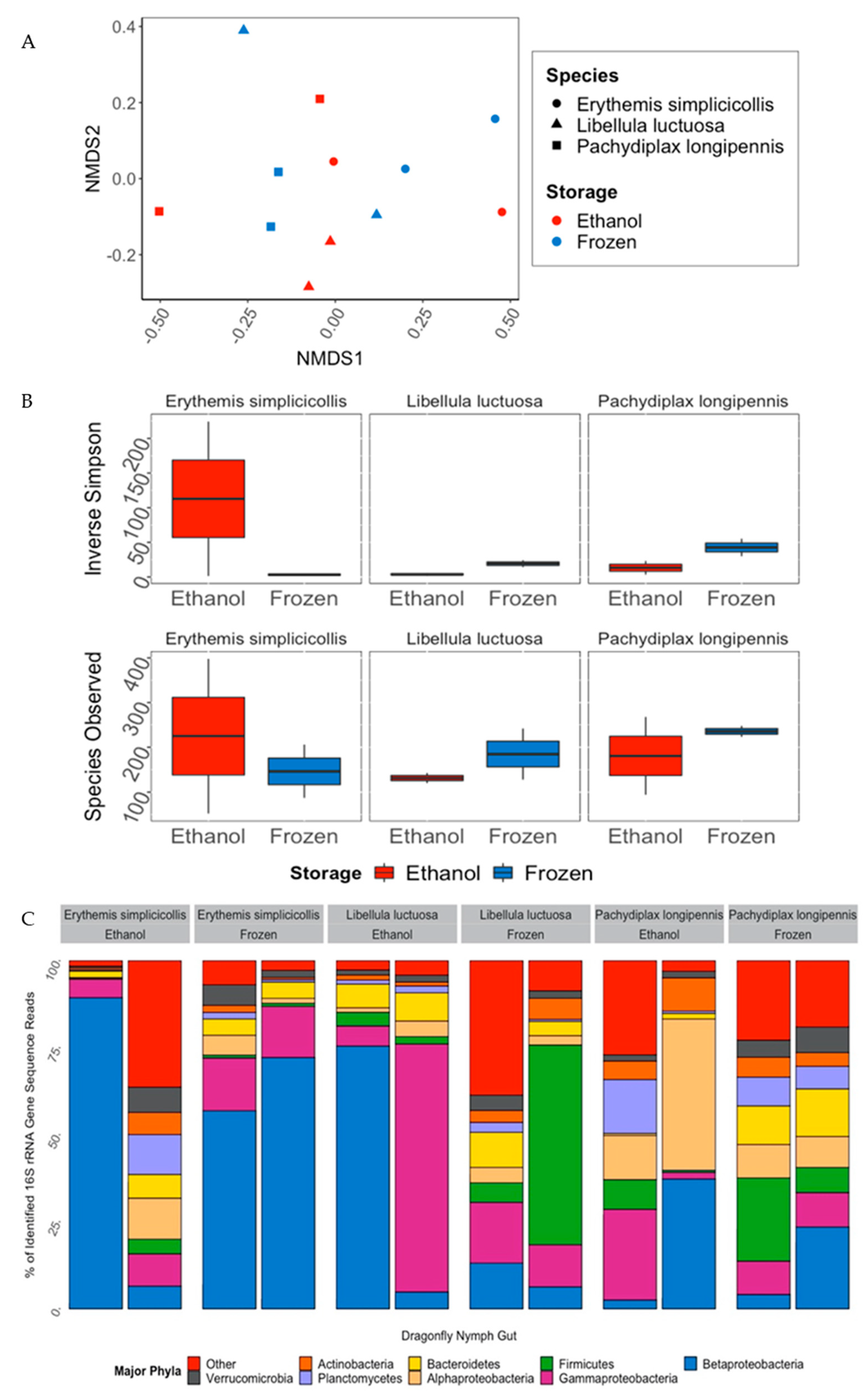 Microorganisms 10 00811 g005