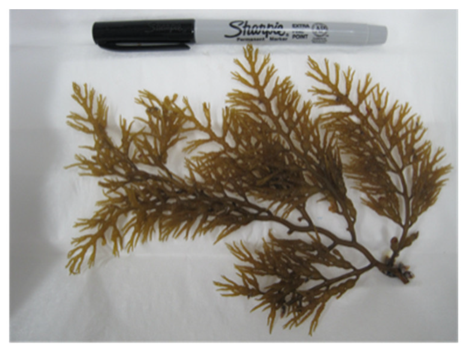 Microorganisms 10 00819 g004