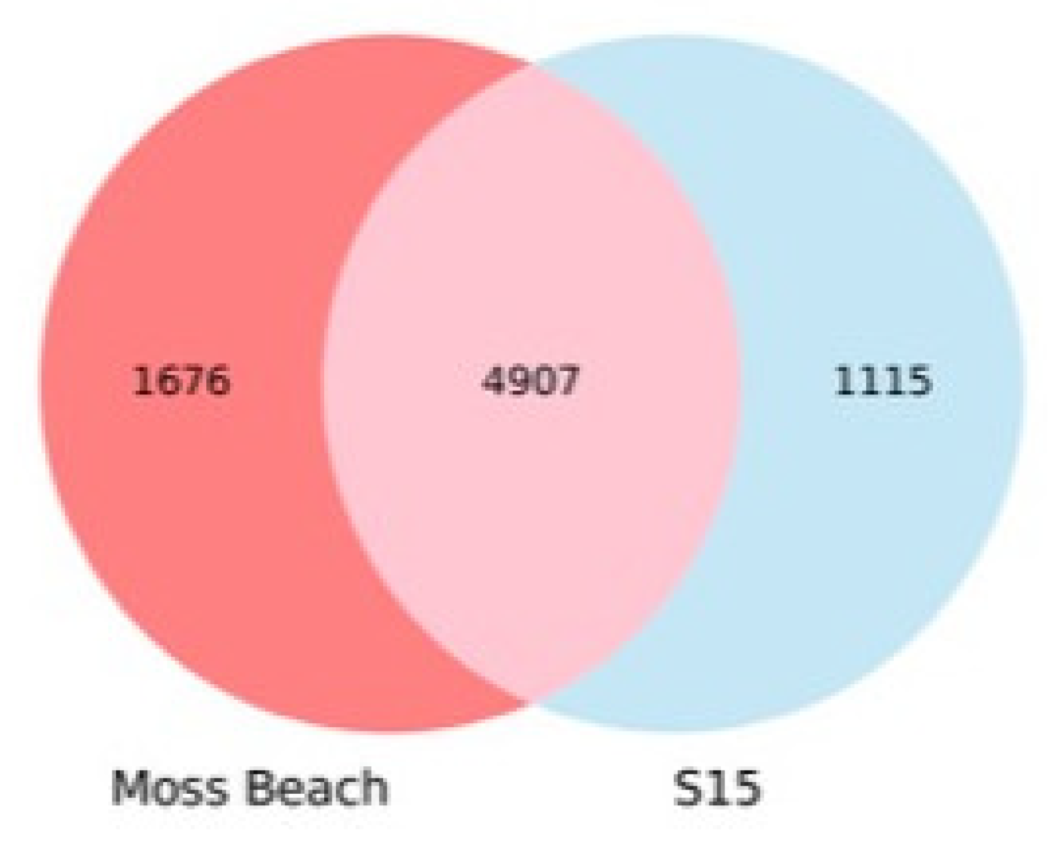 Microorganisms 10 00819 g010