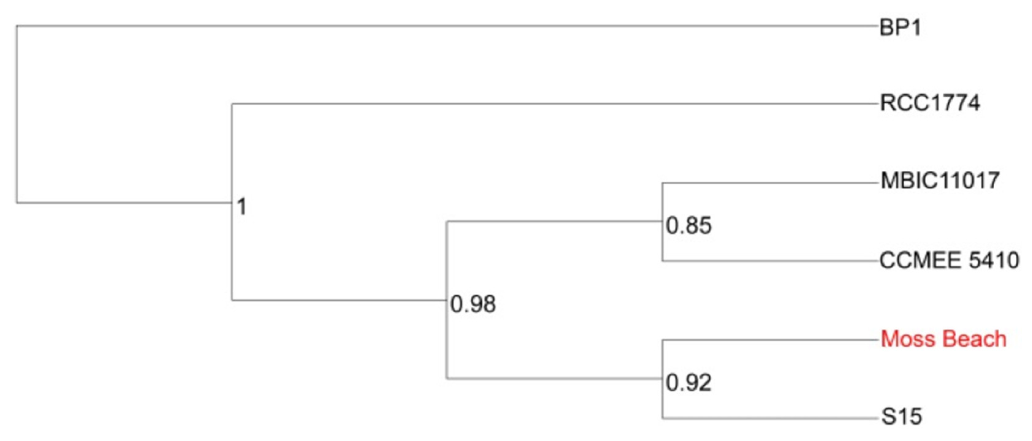 Microorganisms 10 00819 g011