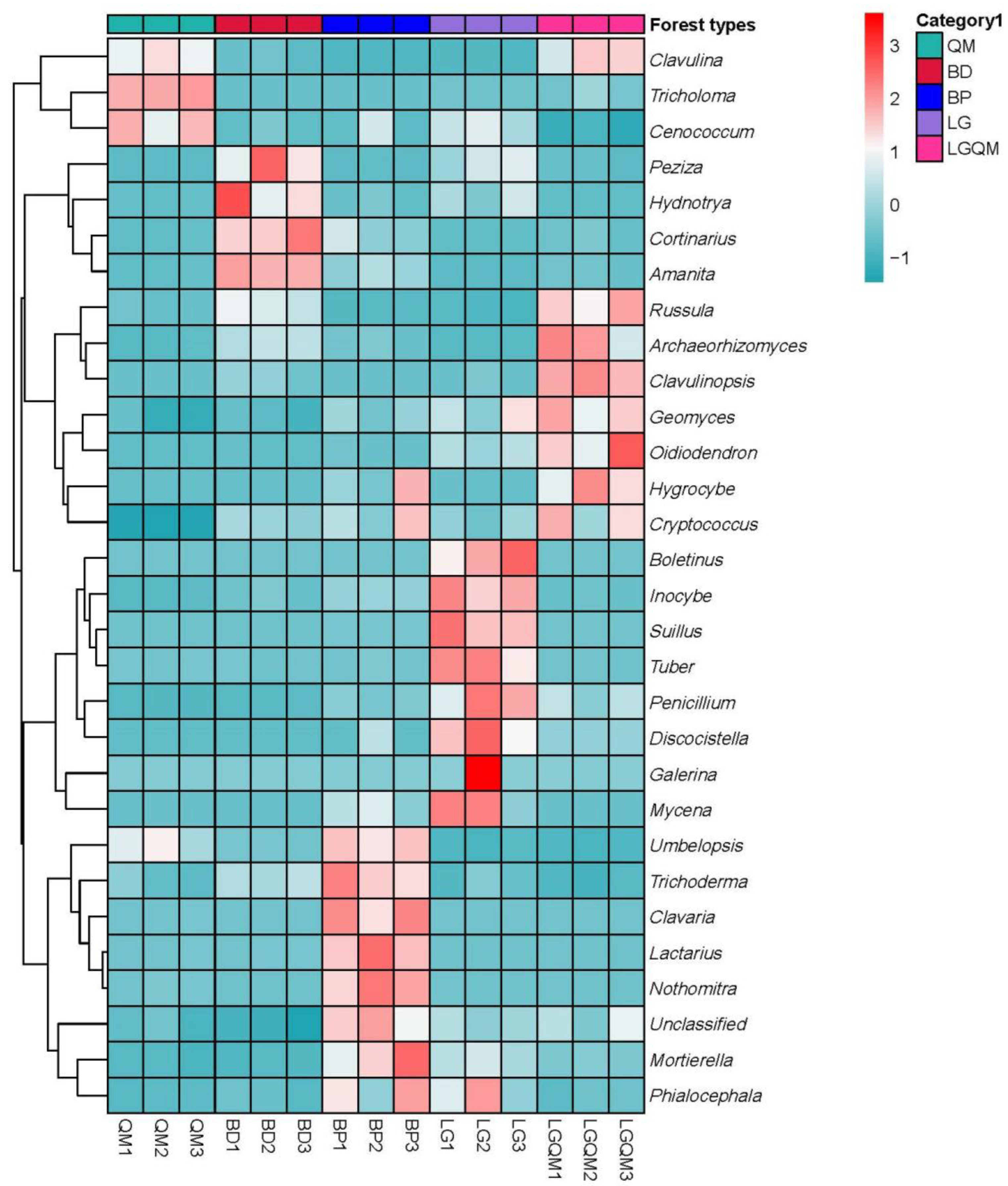 Microorganisms 10 00829 g007