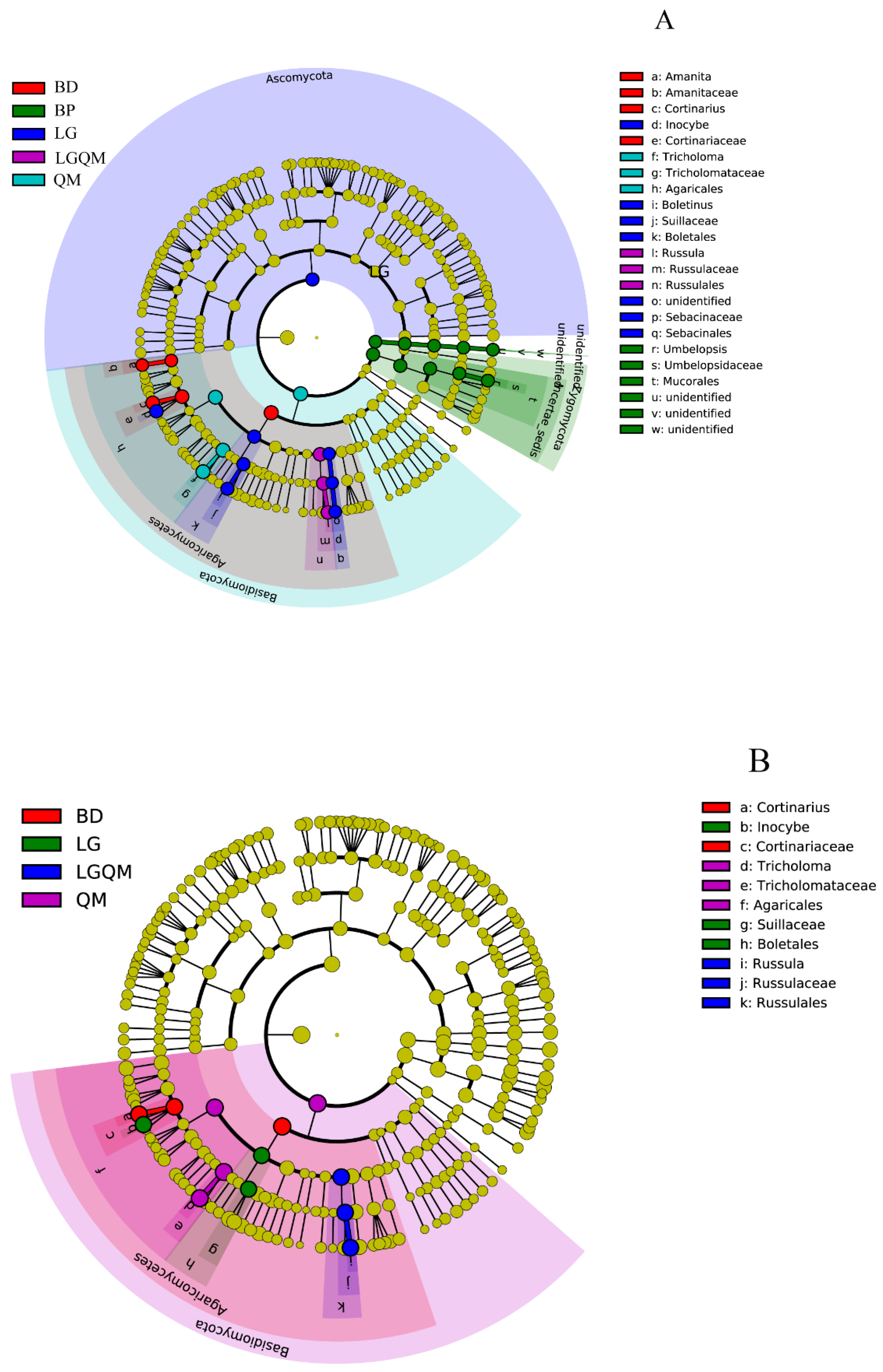 Microorganisms 10 00829 g008
