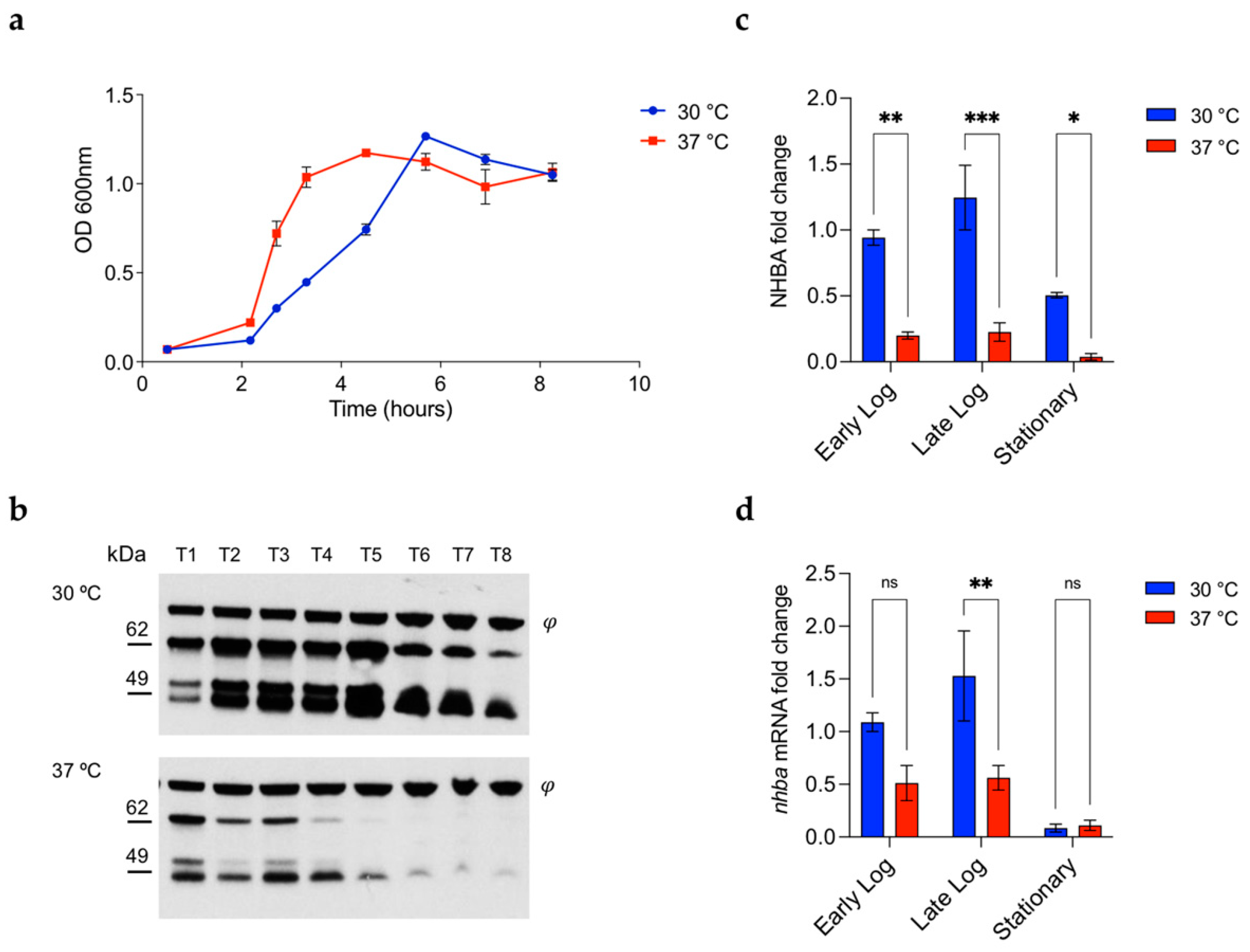 Microorganisms 10 00834 g002