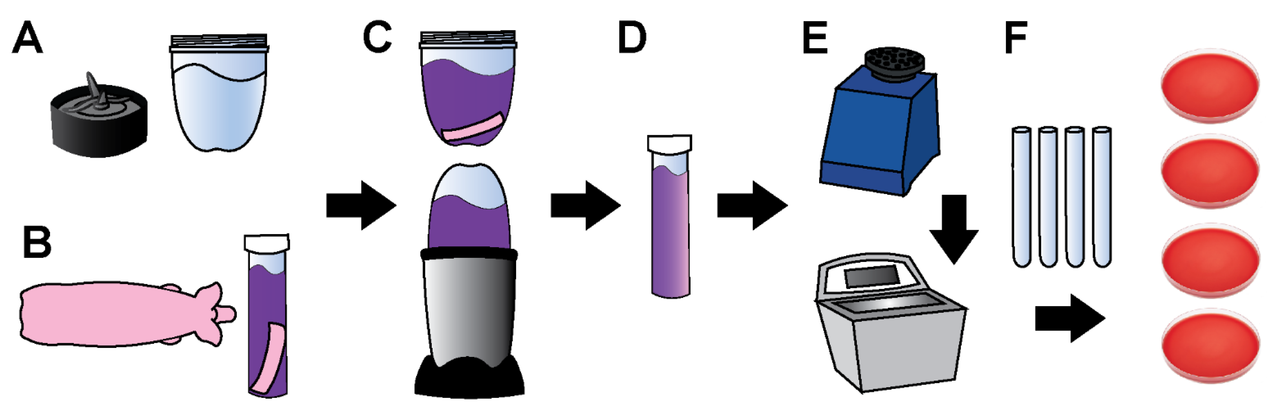 Microorganisms 10 00837 g003 Microorganisms 10 00837 g003
