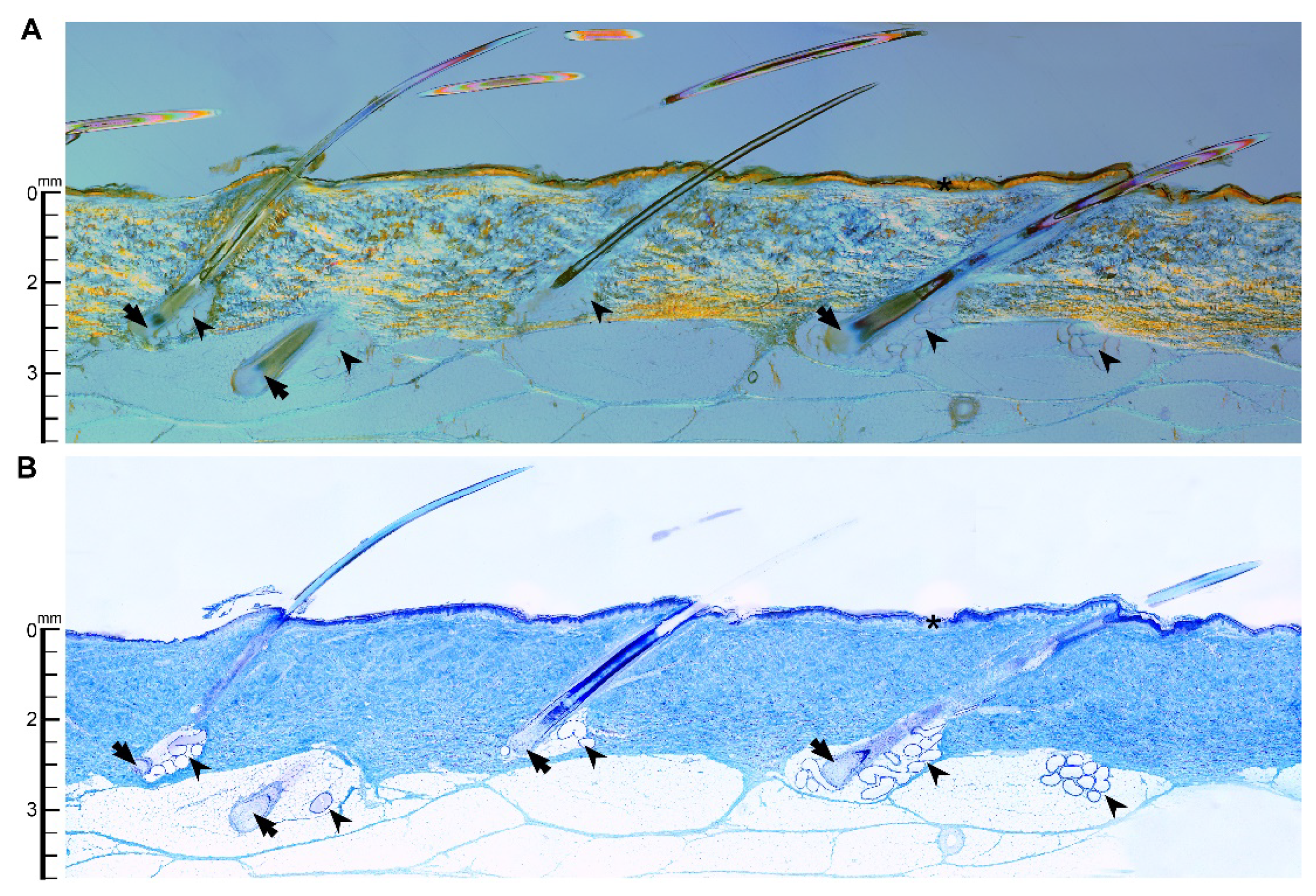 Microorganisms 10 00837 g007 Microorganisms 10 00837 g007