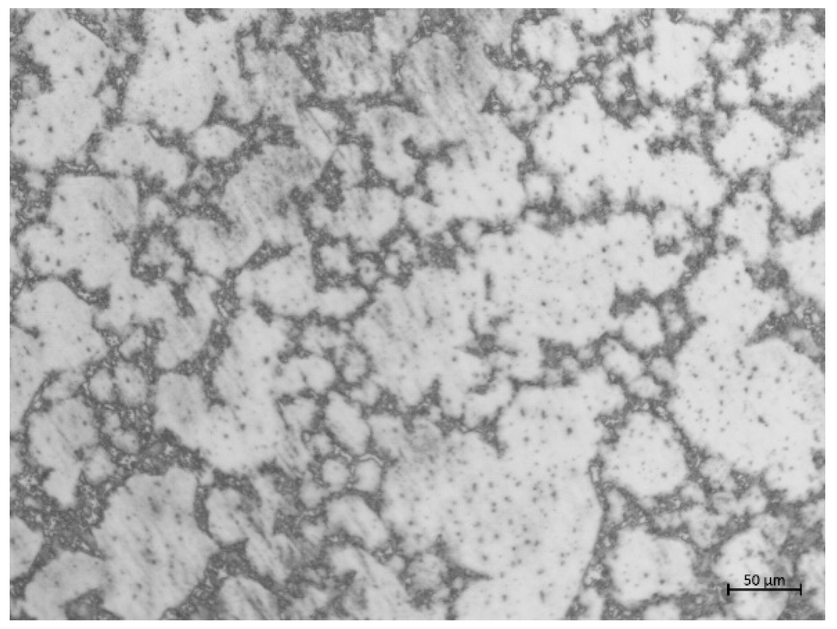 Microorganisms 10 00839 g001