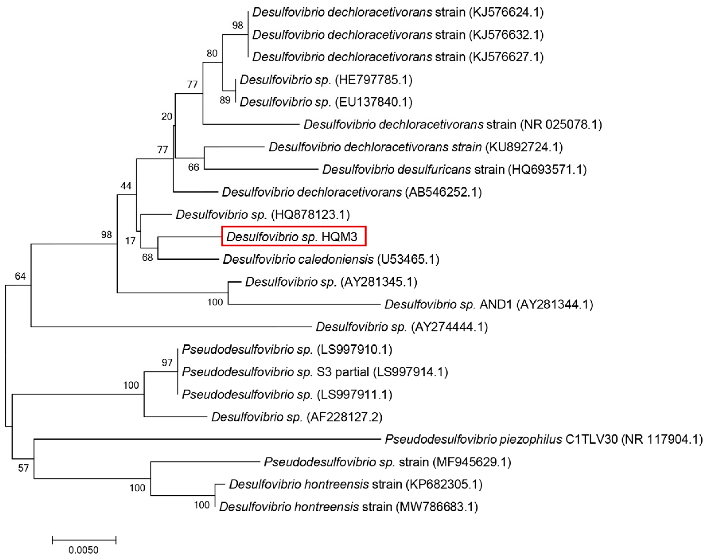 Microorganisms 10 00839 g002