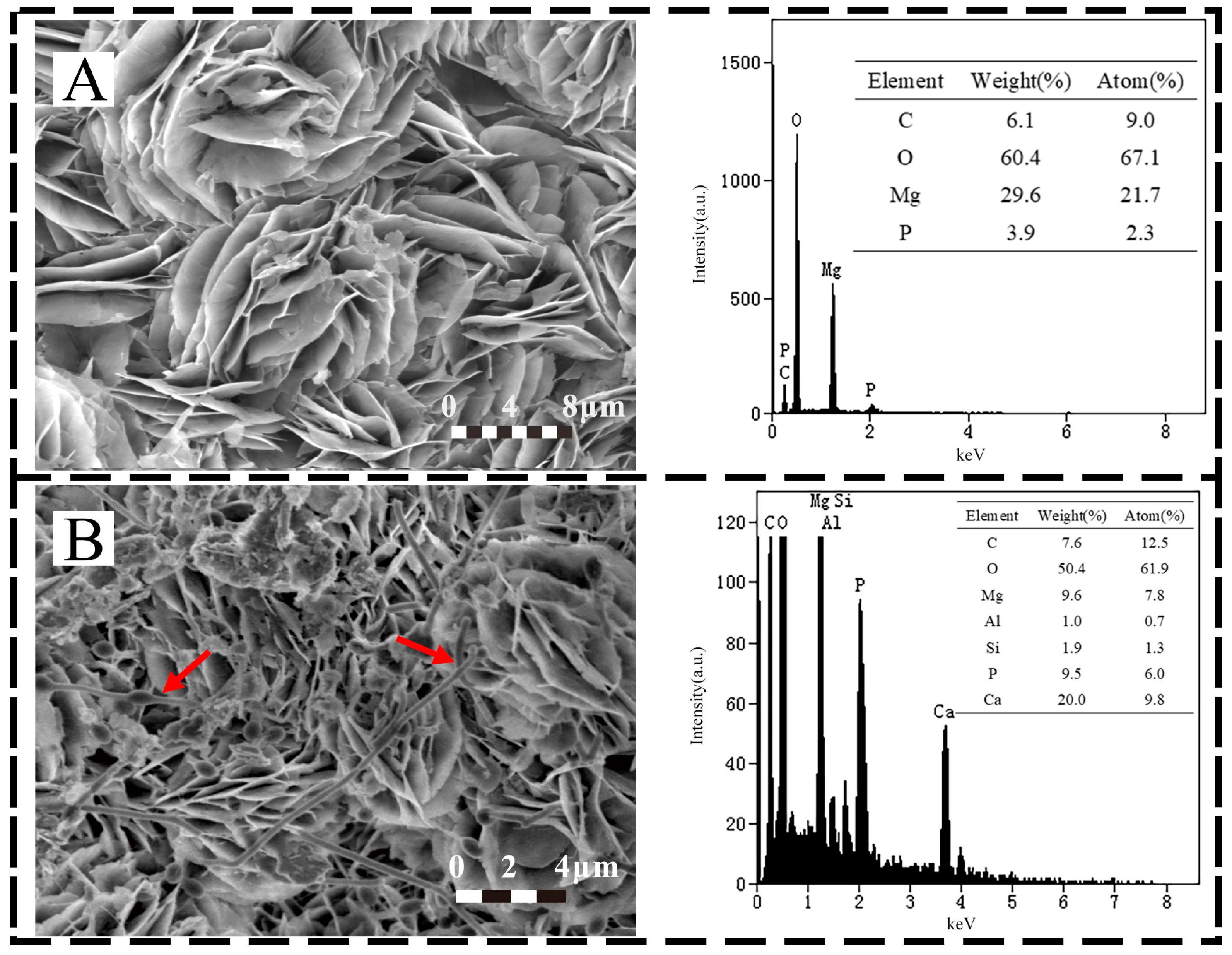 Microorganisms 10 00839 g004