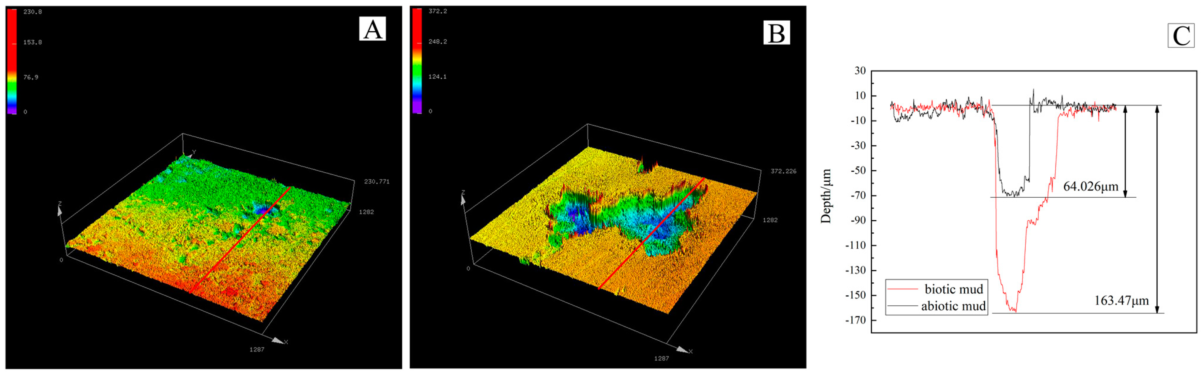 Microorganisms 10 00839 g005