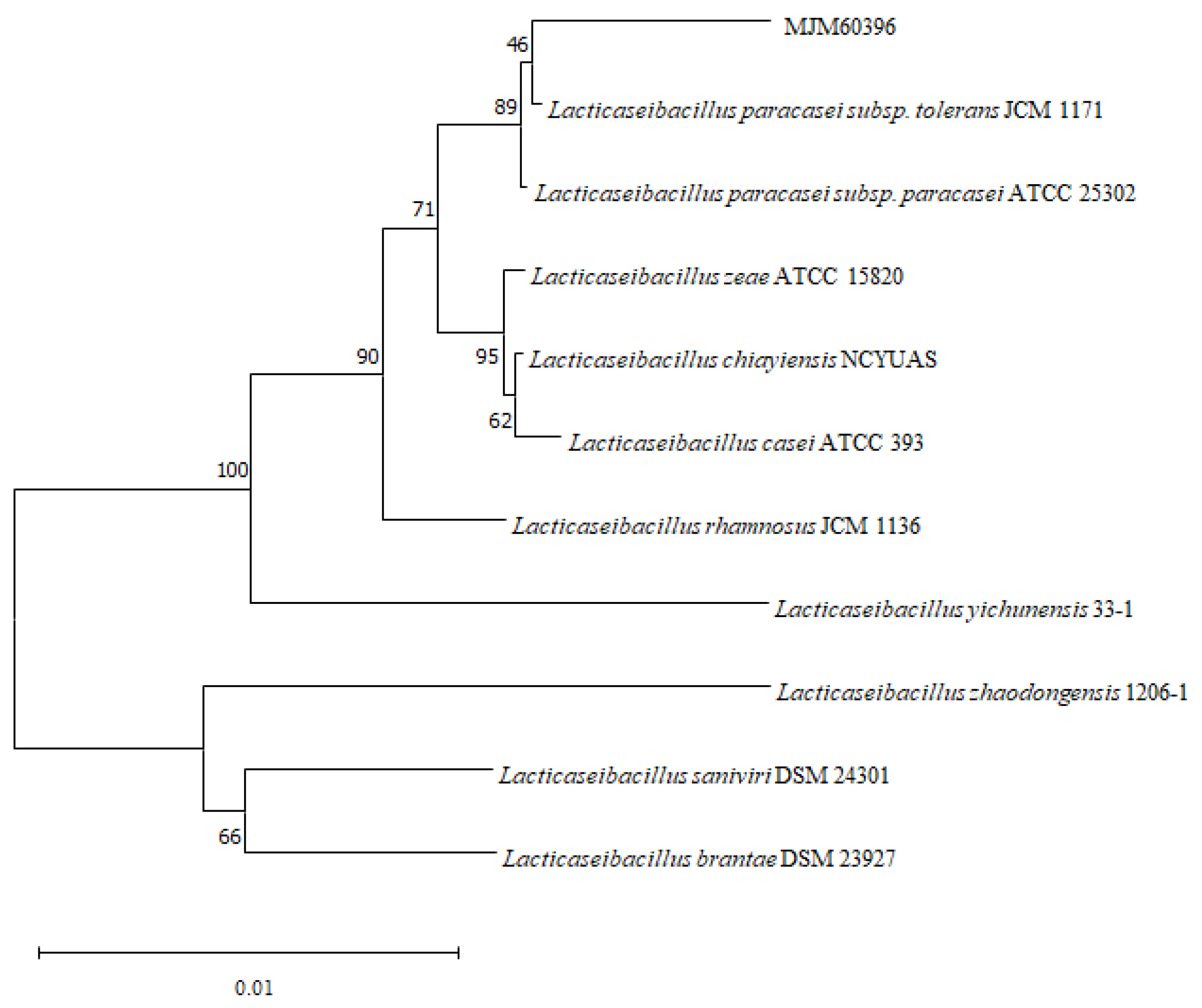 Microorganisms 10 00851 g001