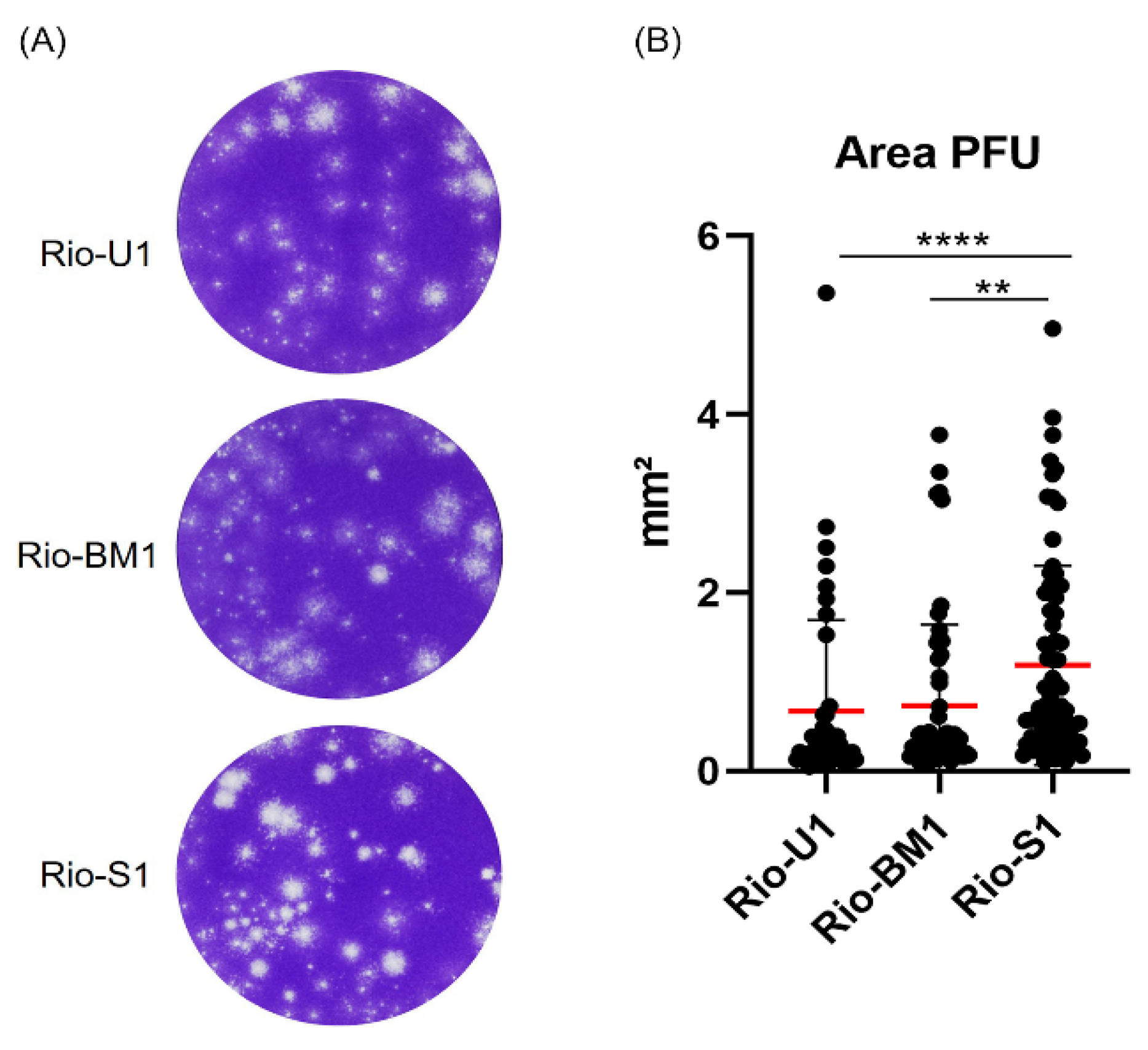 Microorganisms 10 00854 g004 550
