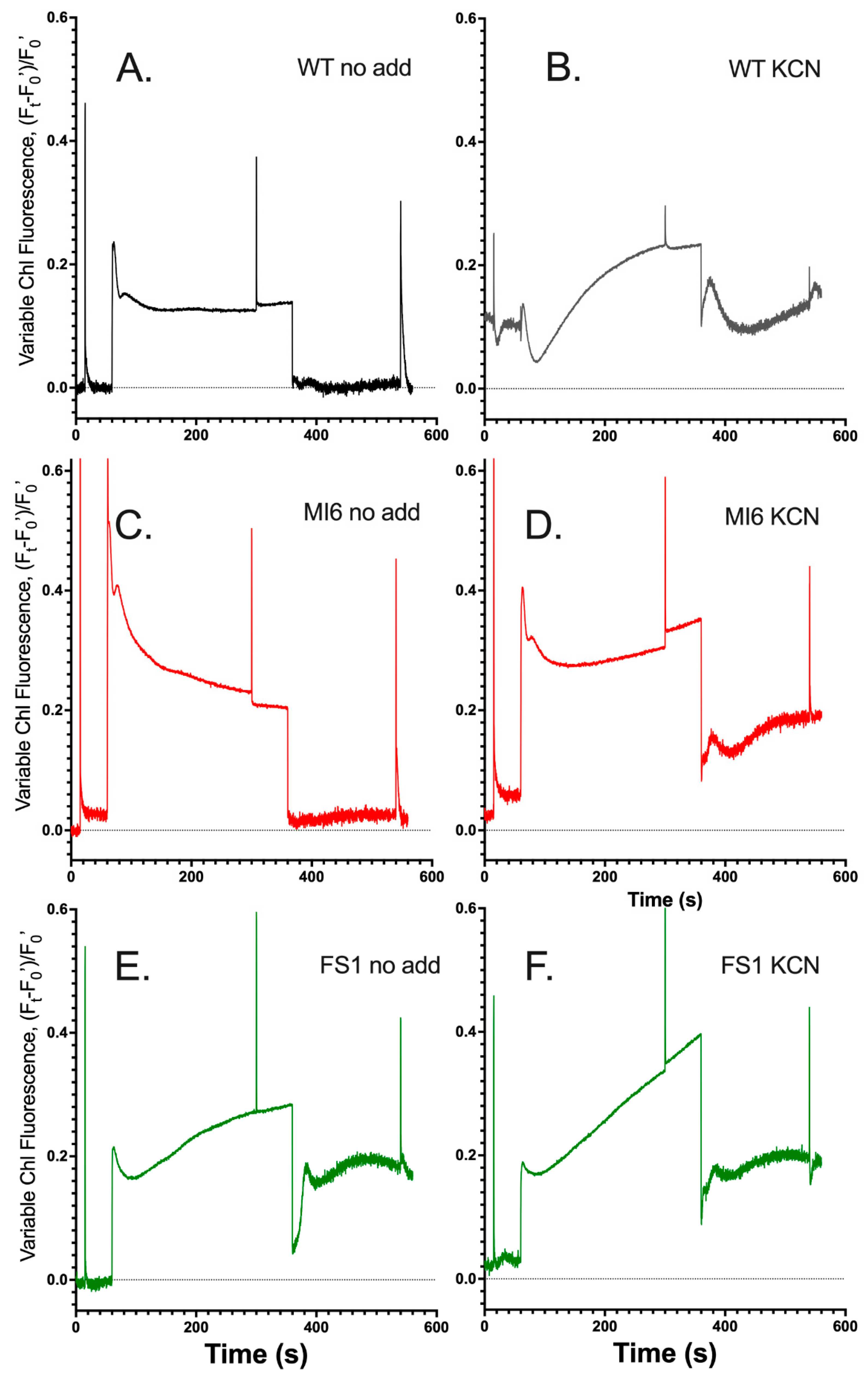 Microorganisms 10 00855 g001