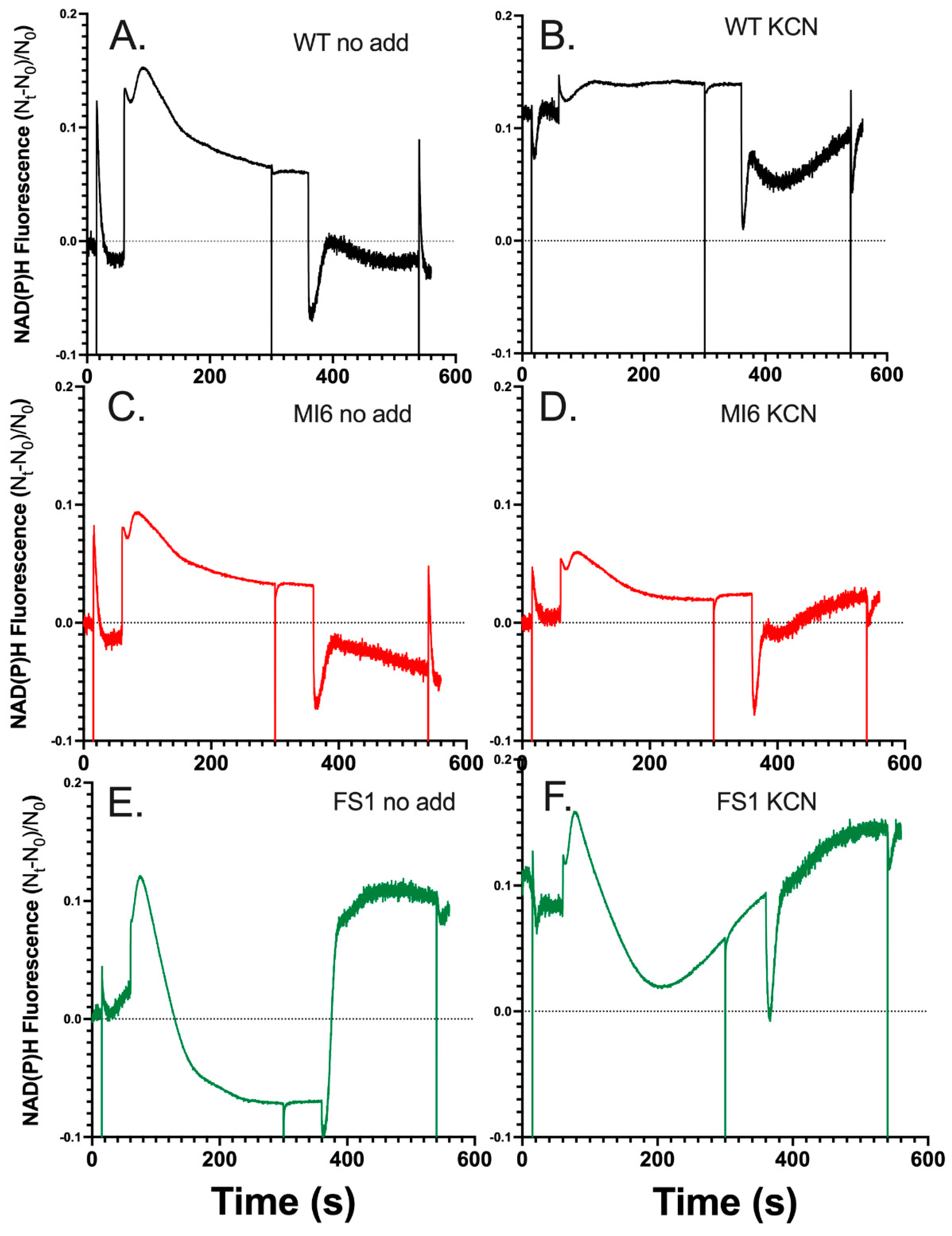 Microorganisms 10 00855 g004