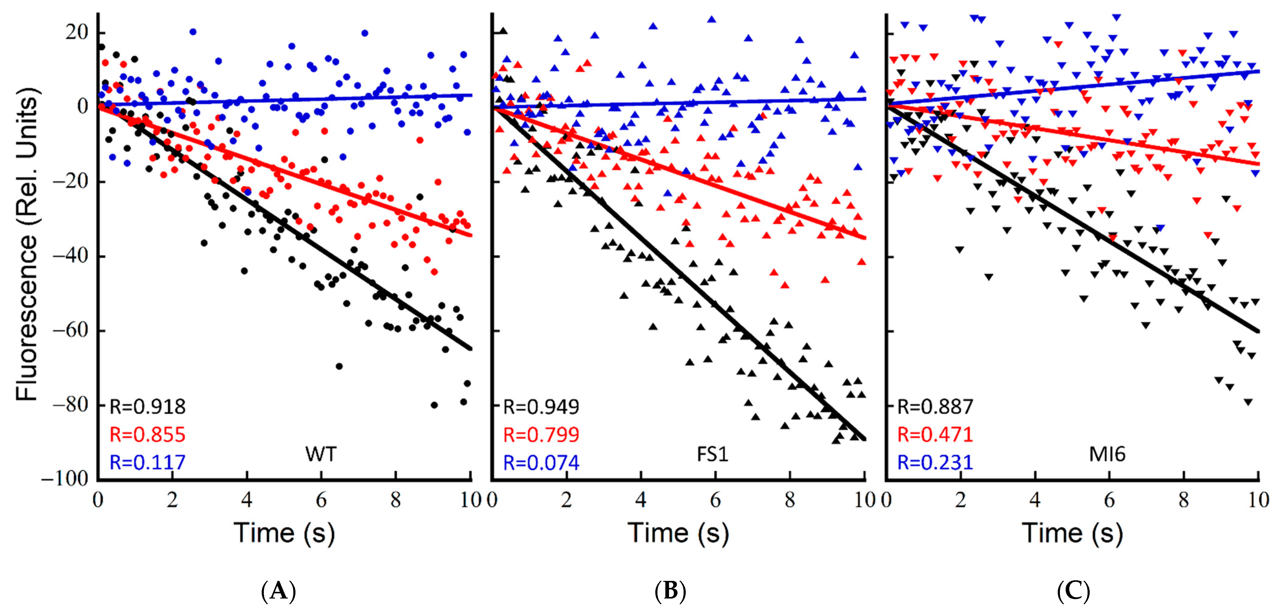 Microorganisms 10 00855 g005