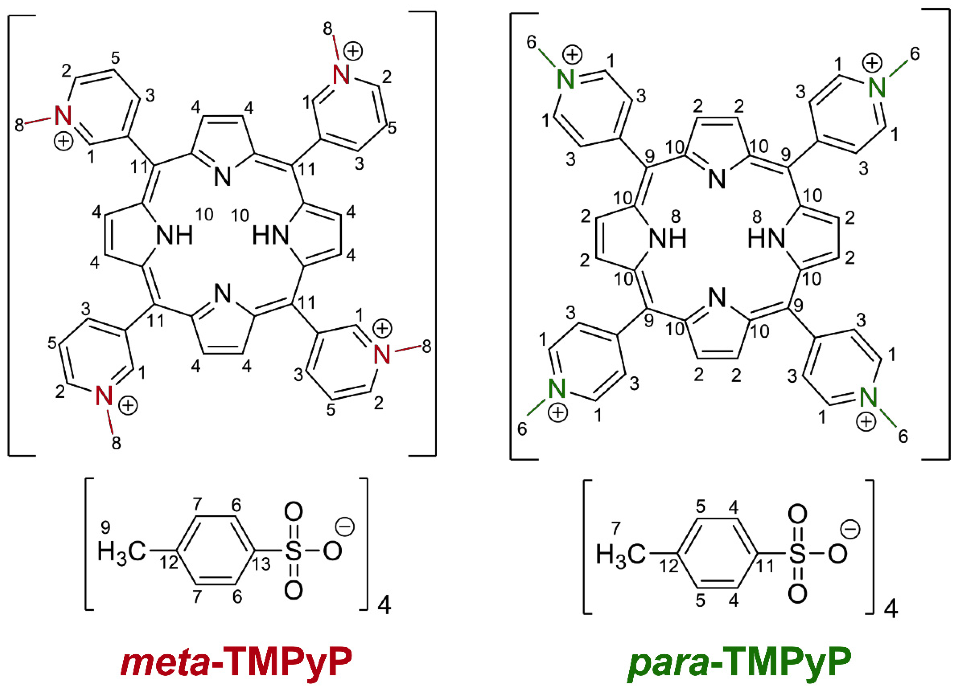 Microorganisms 10 00858 g001