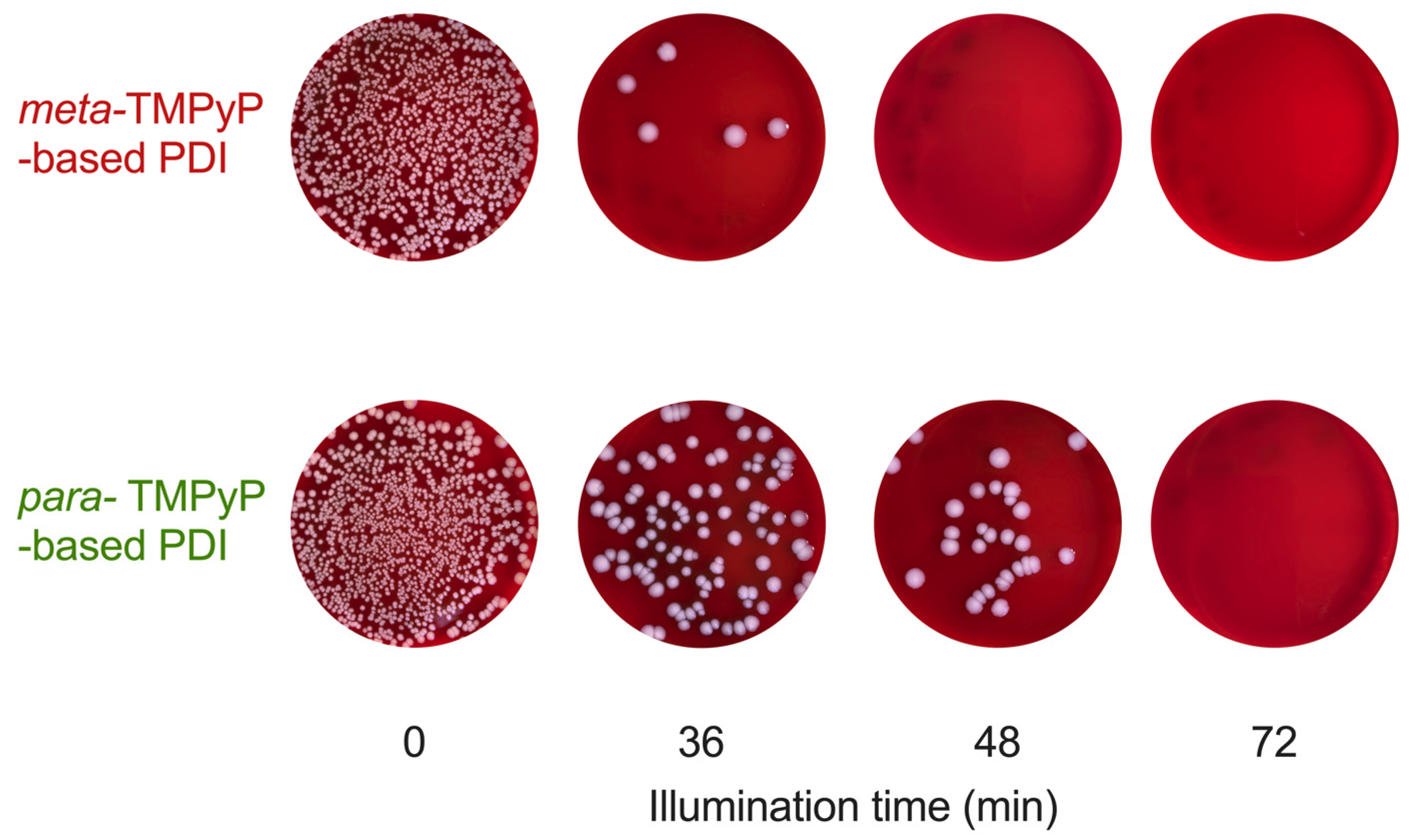 Microorganisms 10 00858 g005