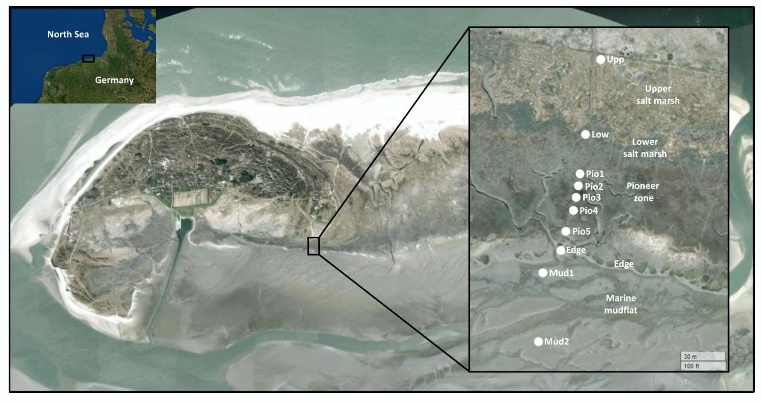 Microorganisms 10 00859 g001