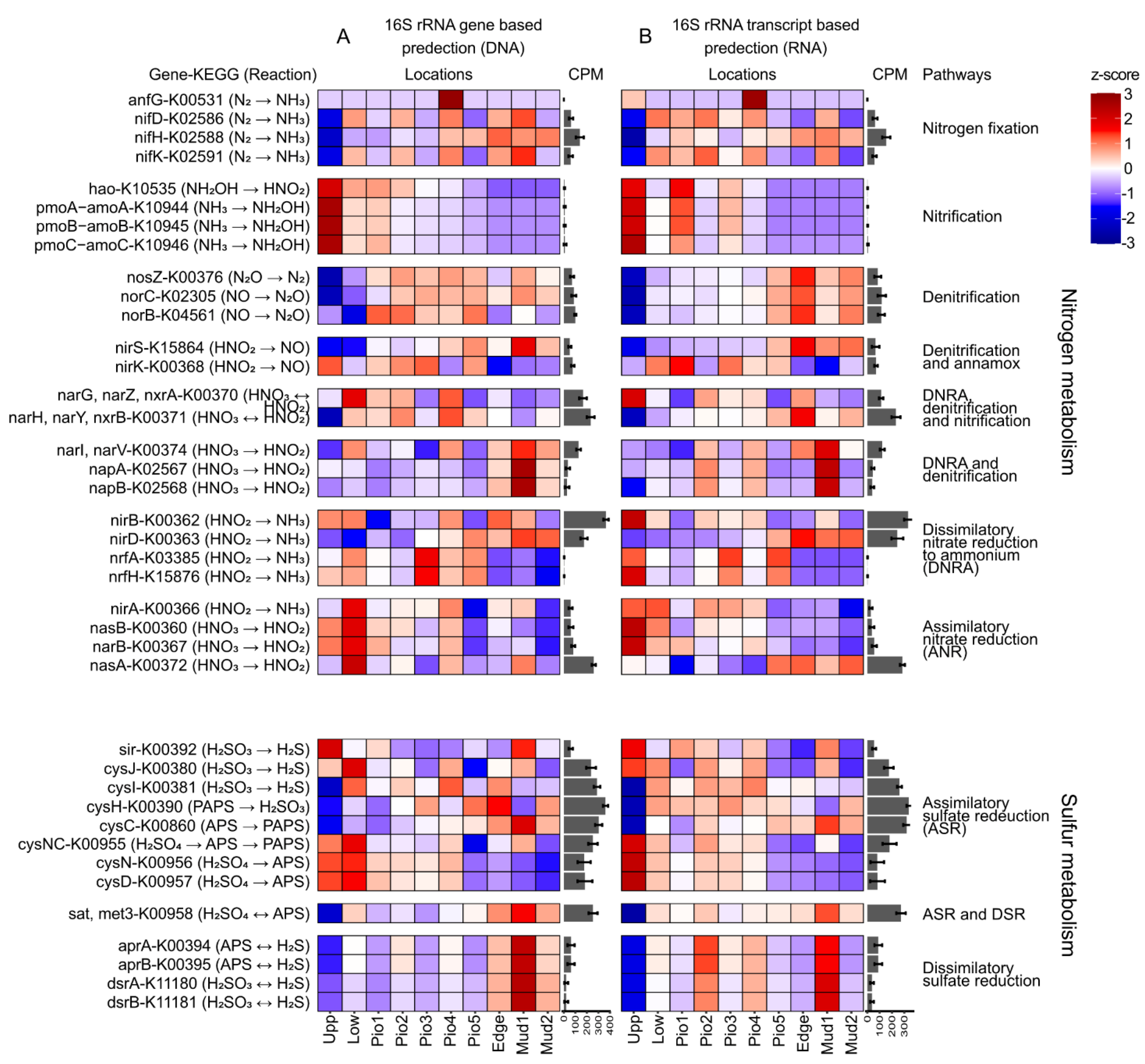 Microorganisms 10 00859 g005