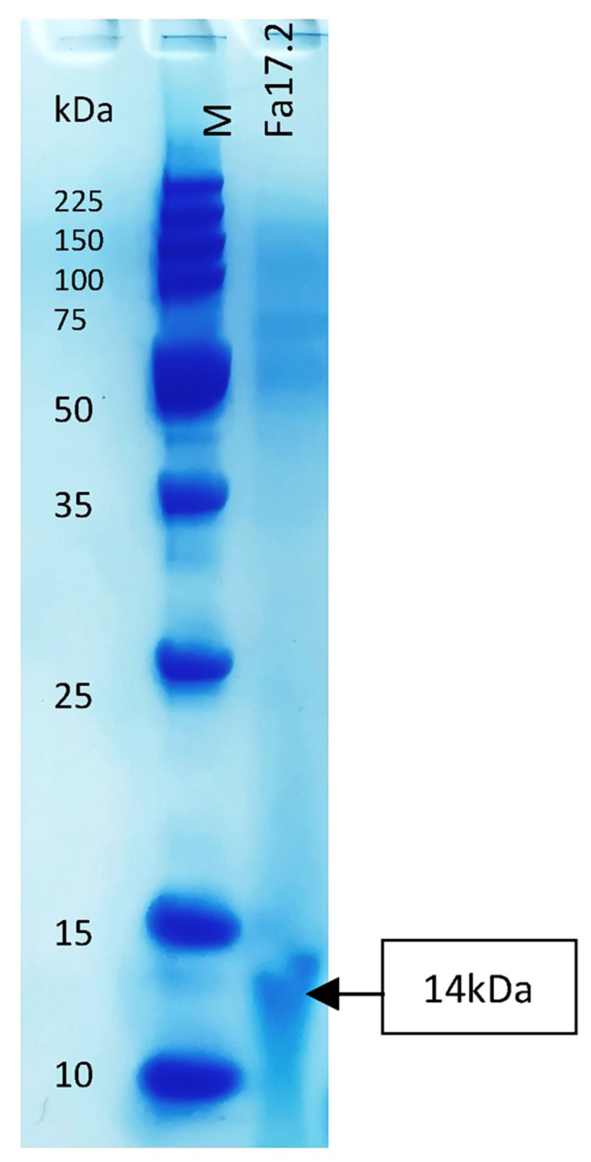 Microorganisms 10 00860 g007
