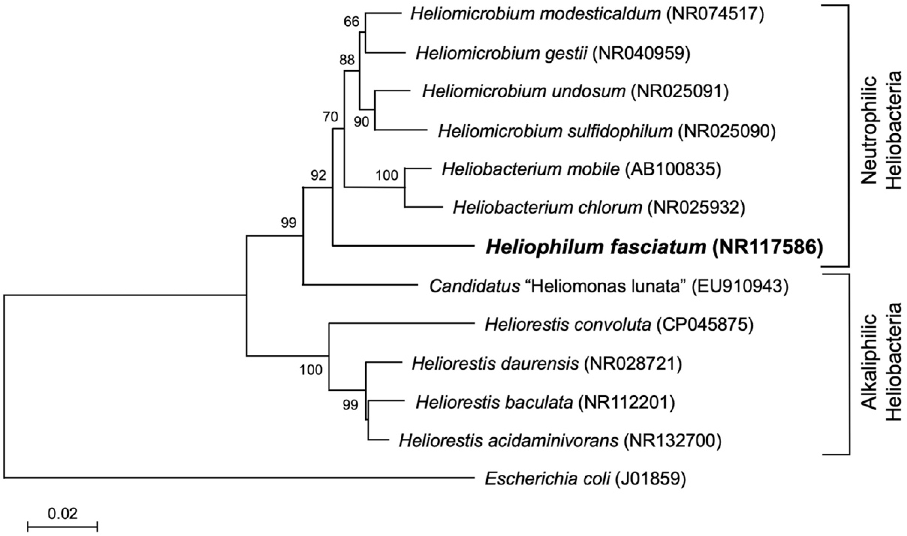 Microorganisms 10 00869 g001 550