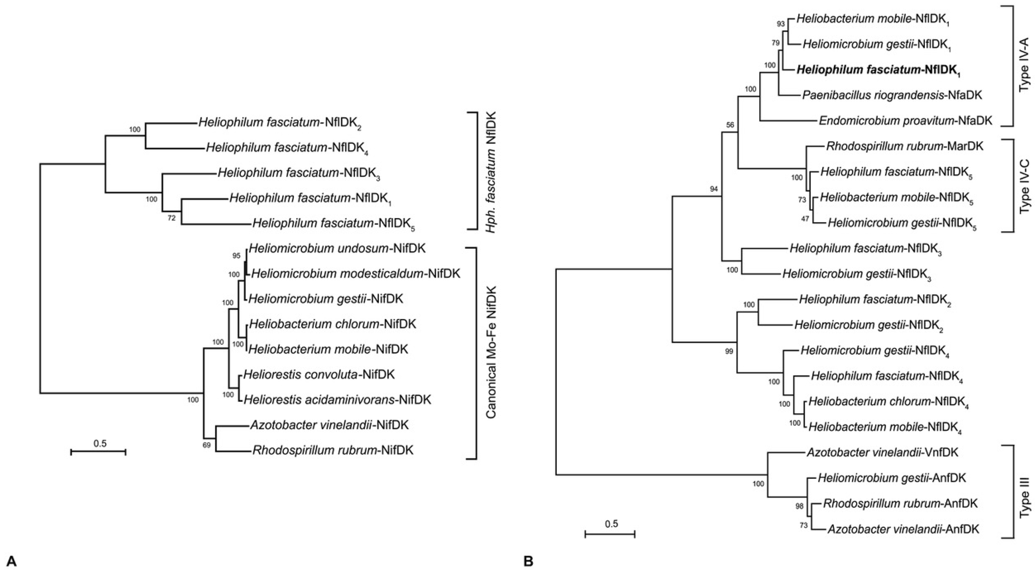 Microorganisms 10 00869 g004 550