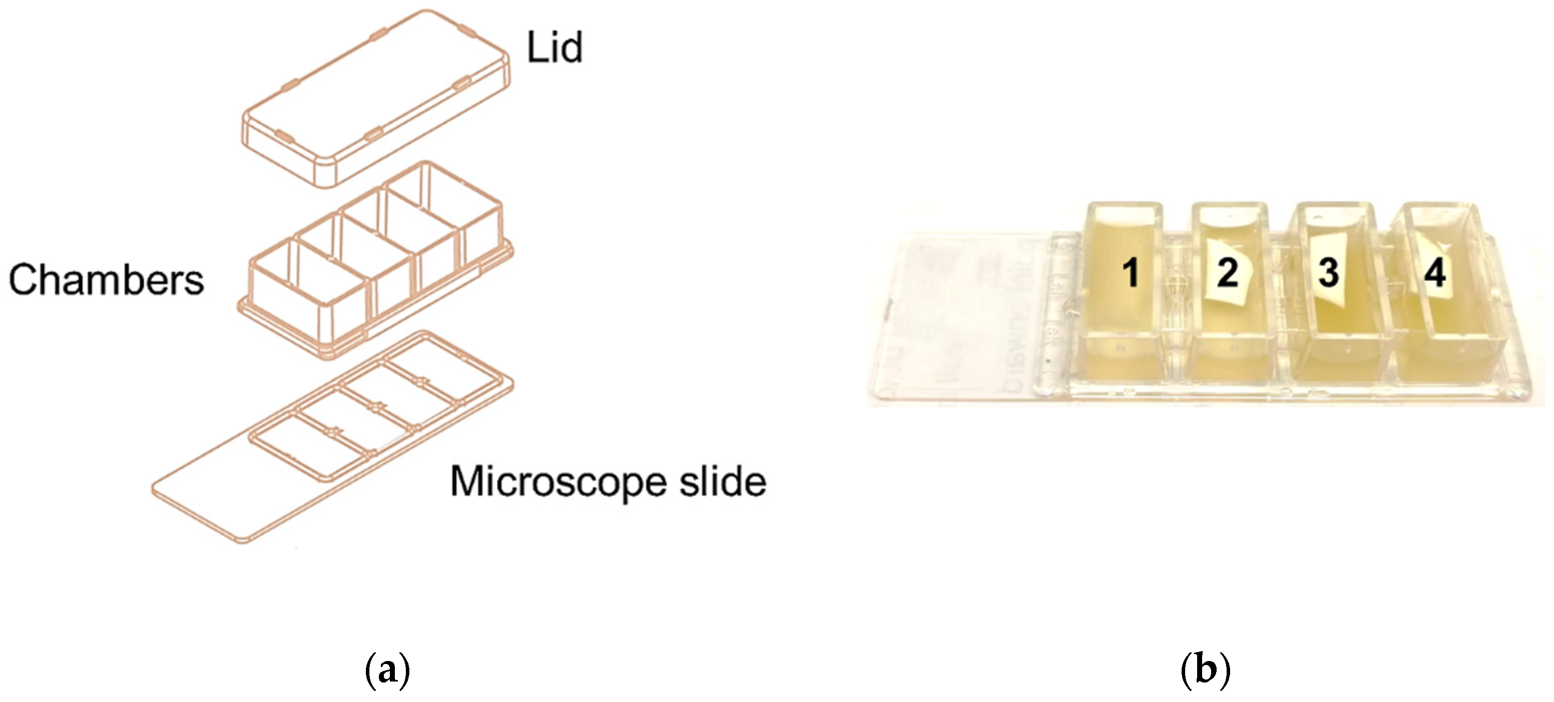 Microorganisms 10 00870 g001 Microorganisms 10 00870 g001