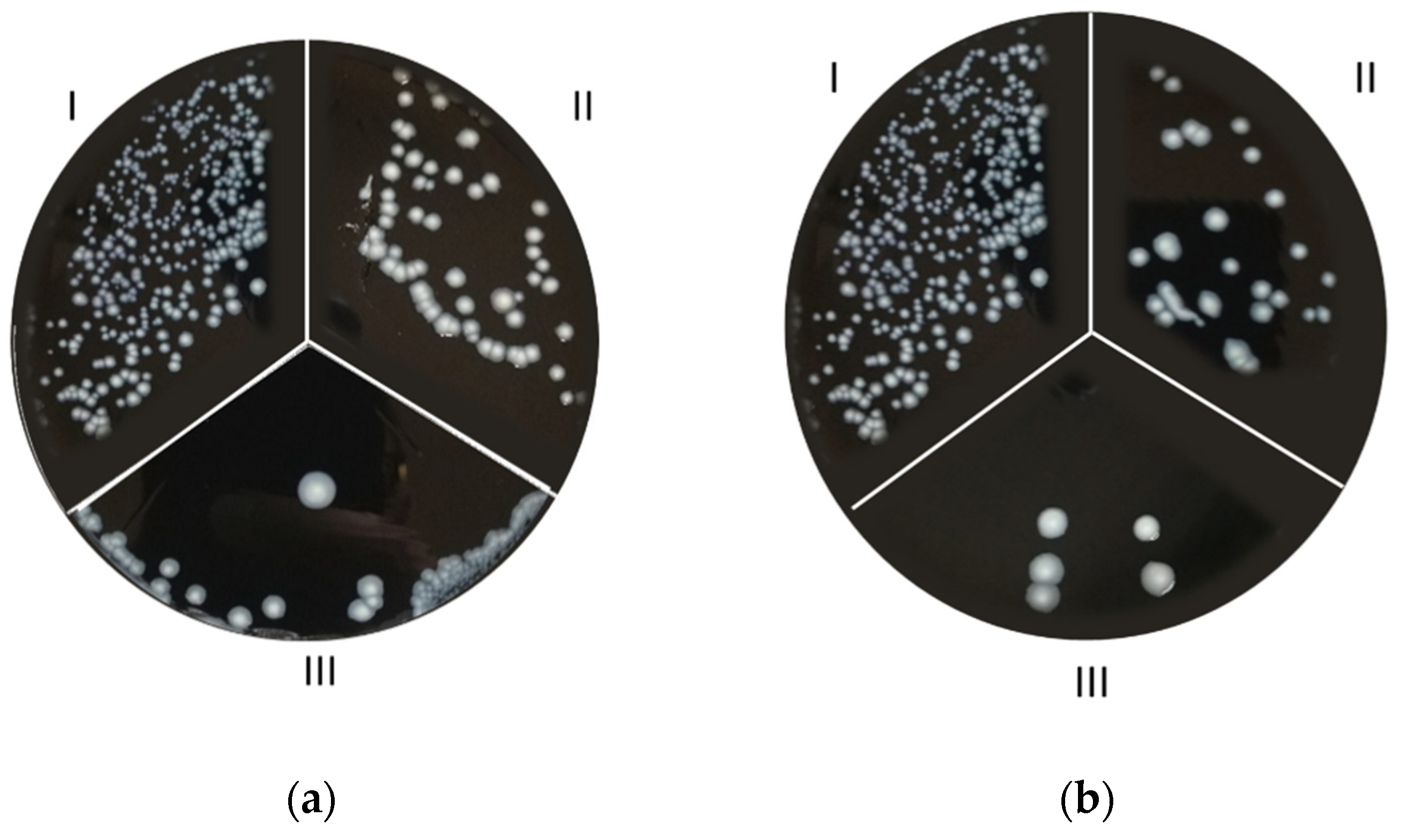 Microorganisms 10 00870 g005a Microorganisms 10 00870 g005a