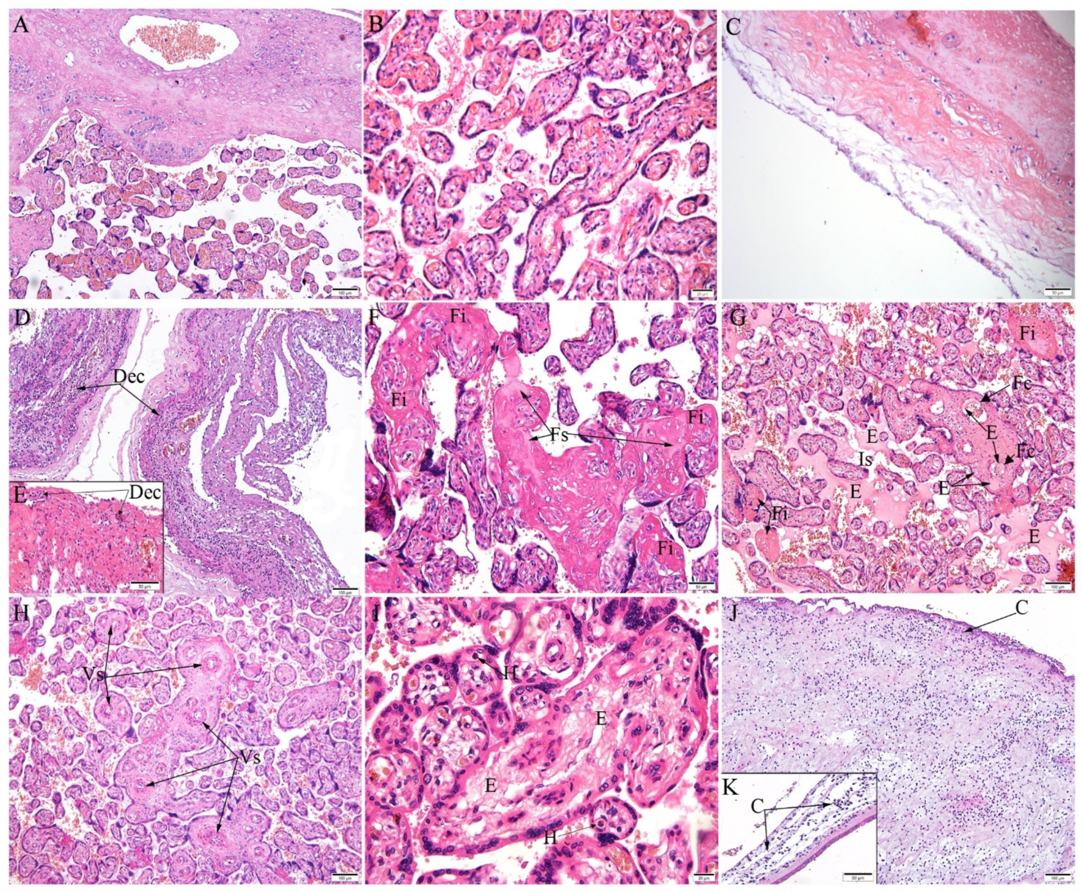Microorganisms 10 00872 g001