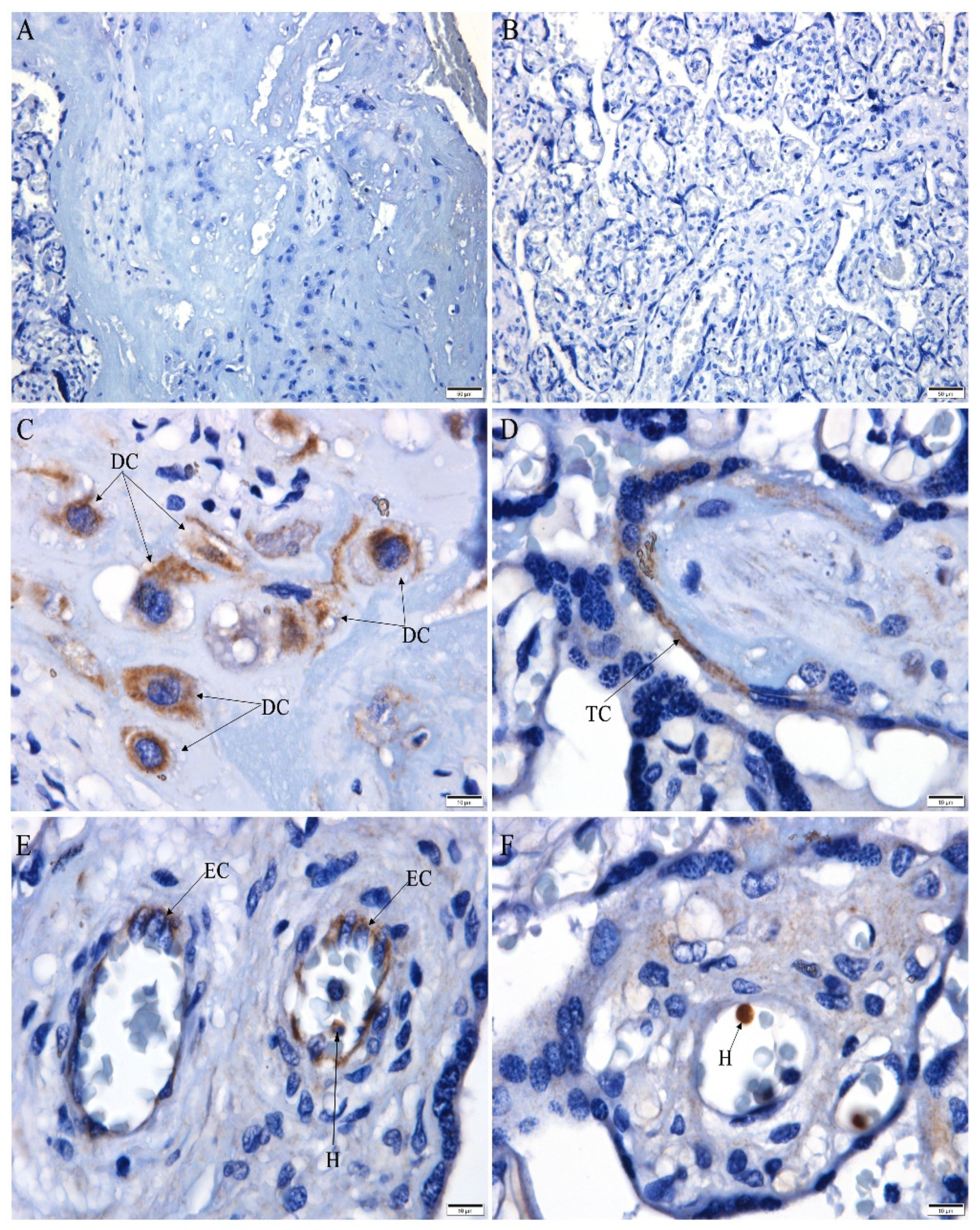 Microorganisms 10 00872 g002