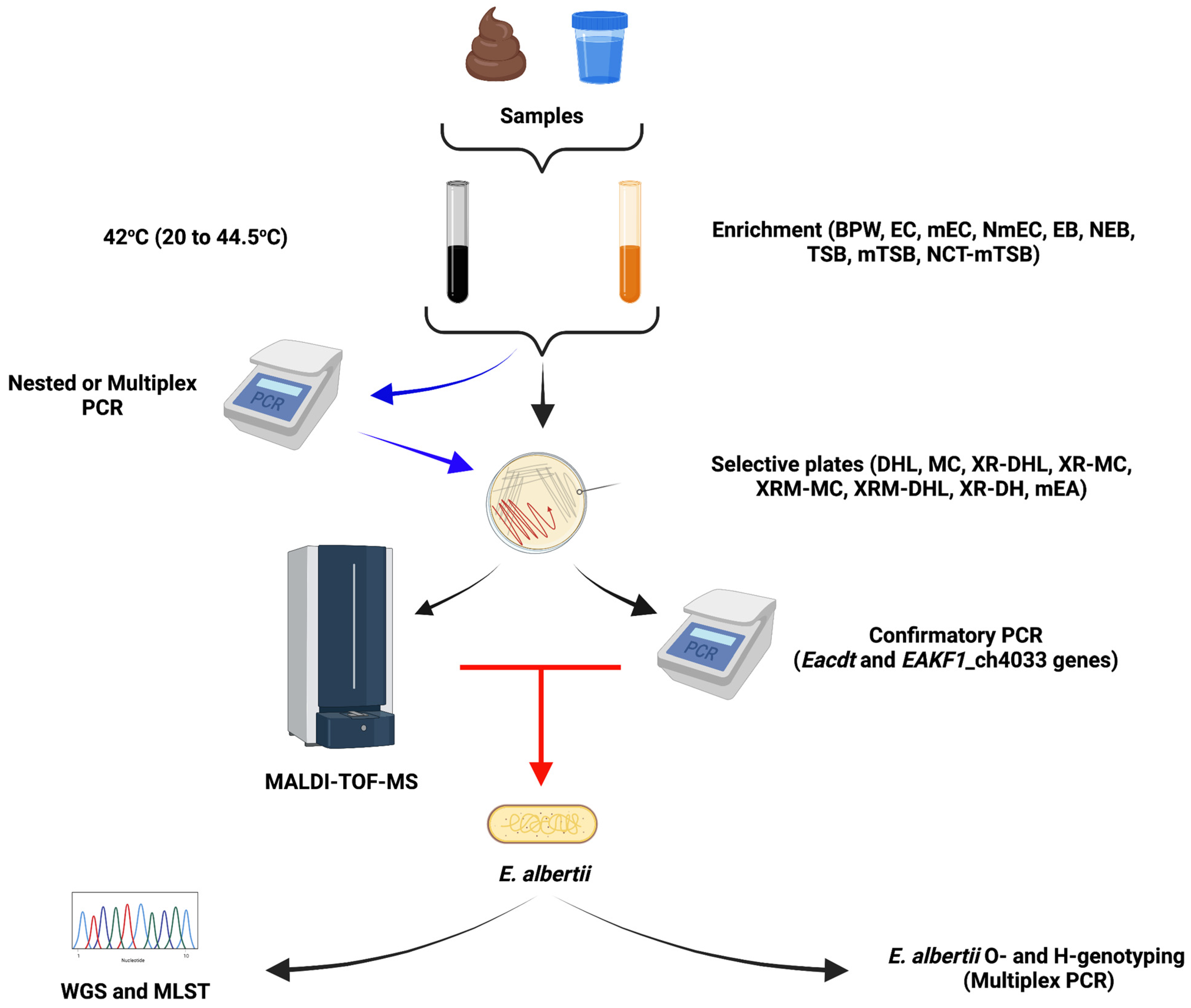 Microorganisms 10 00875 g002 Microorganisms 10 00875 g002