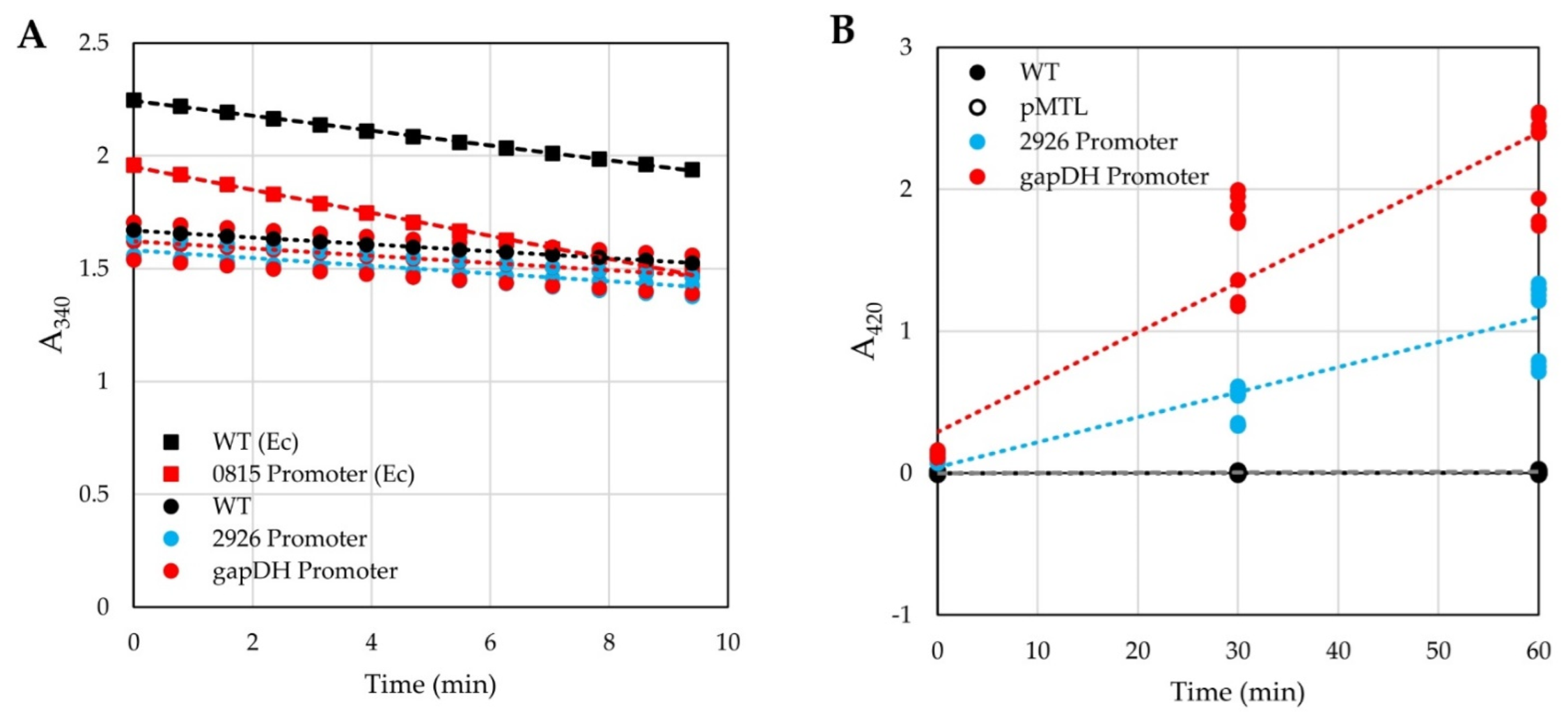 Microorganisms 10 00876 g001